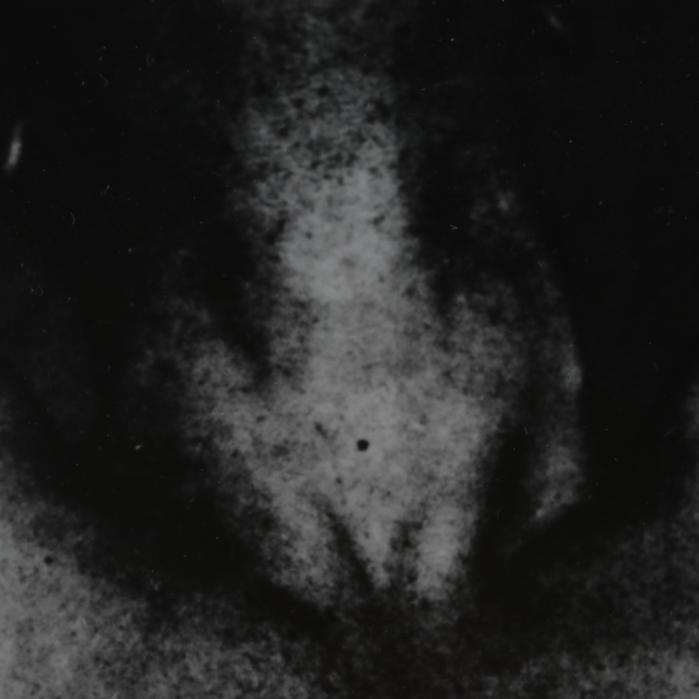 George Platt Lynes Silver Gelatin Print of Male Torso