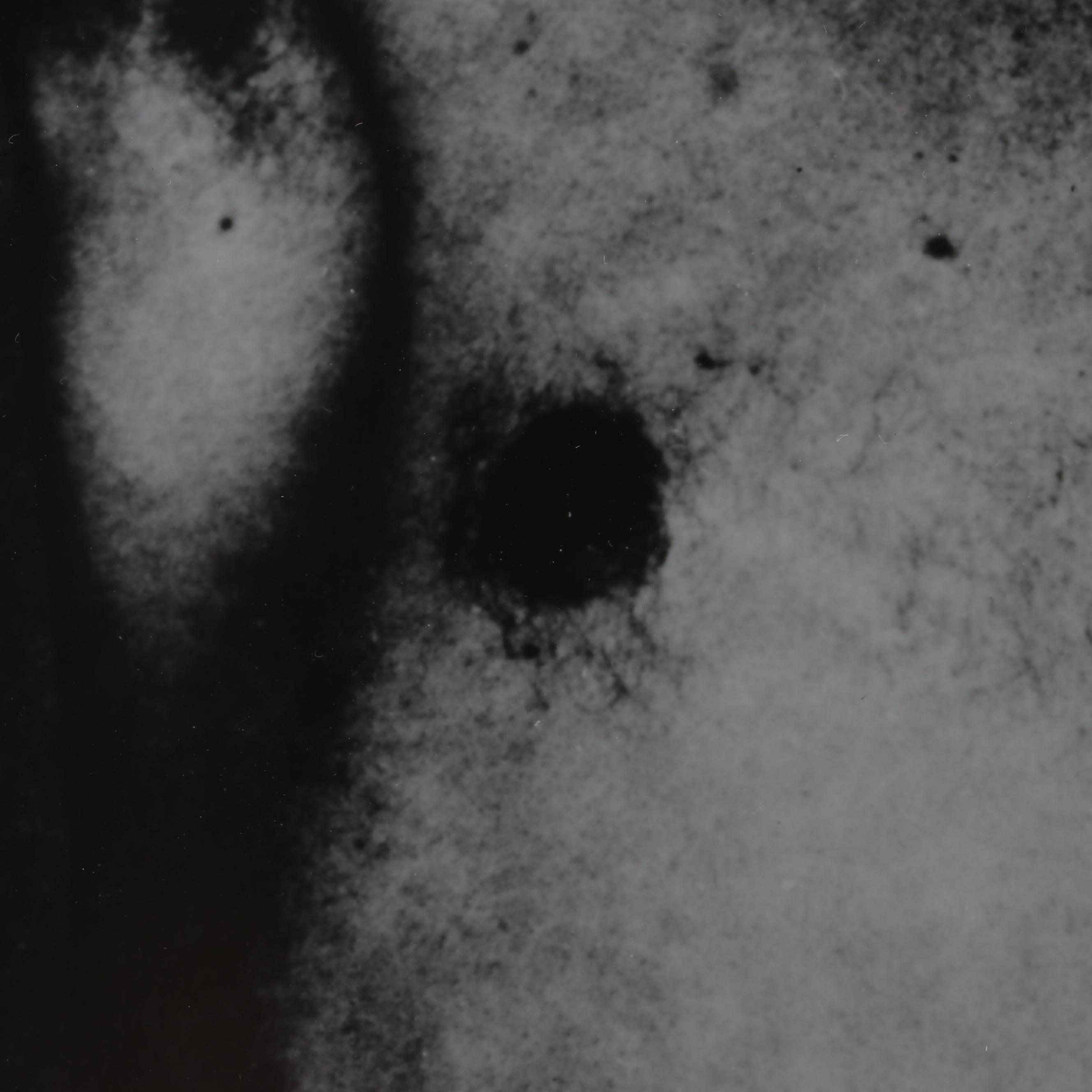 George Platt Lynes Silver Gelatin Print of Male Torso