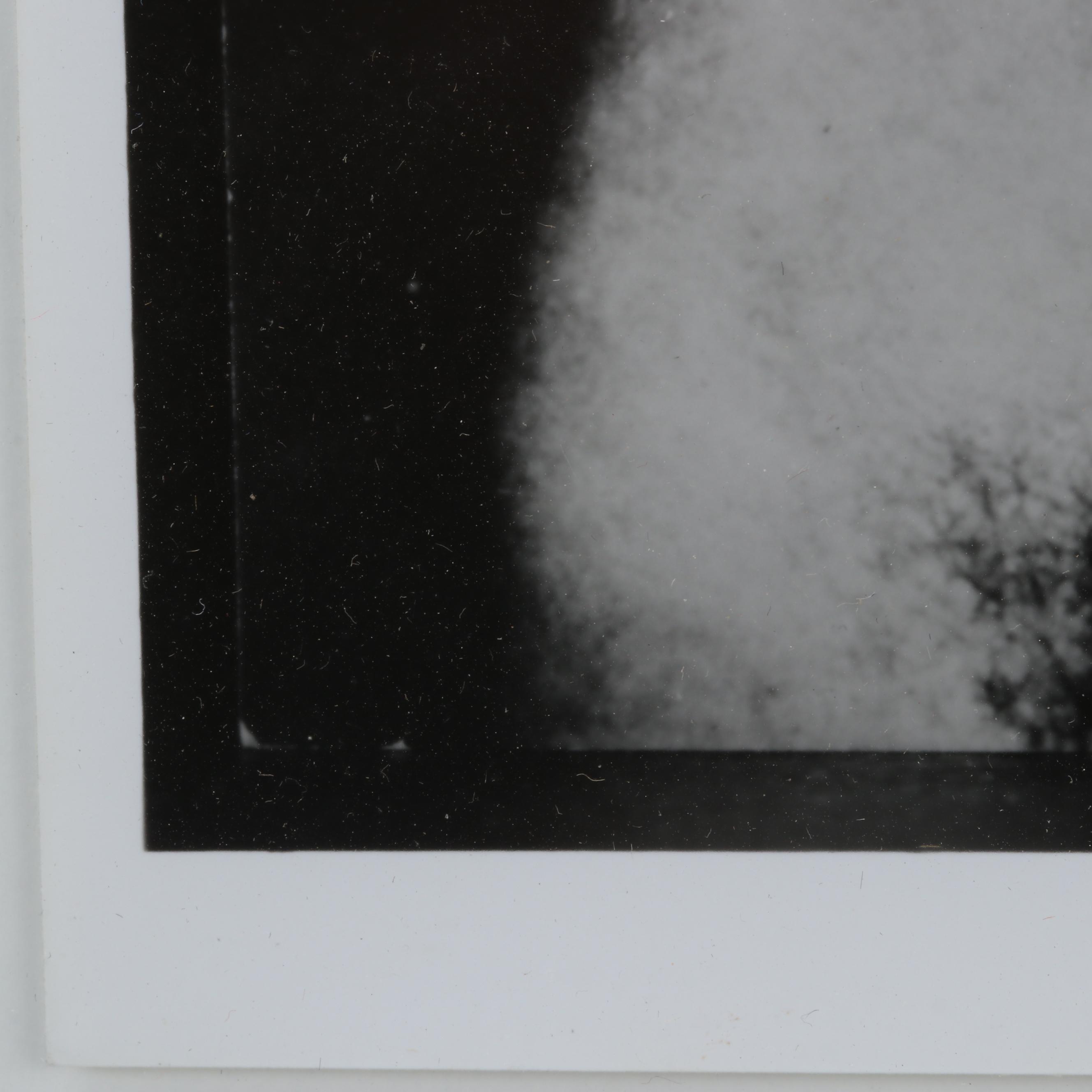 George Platt Lynes Silver Gelatin Print of Male Torso