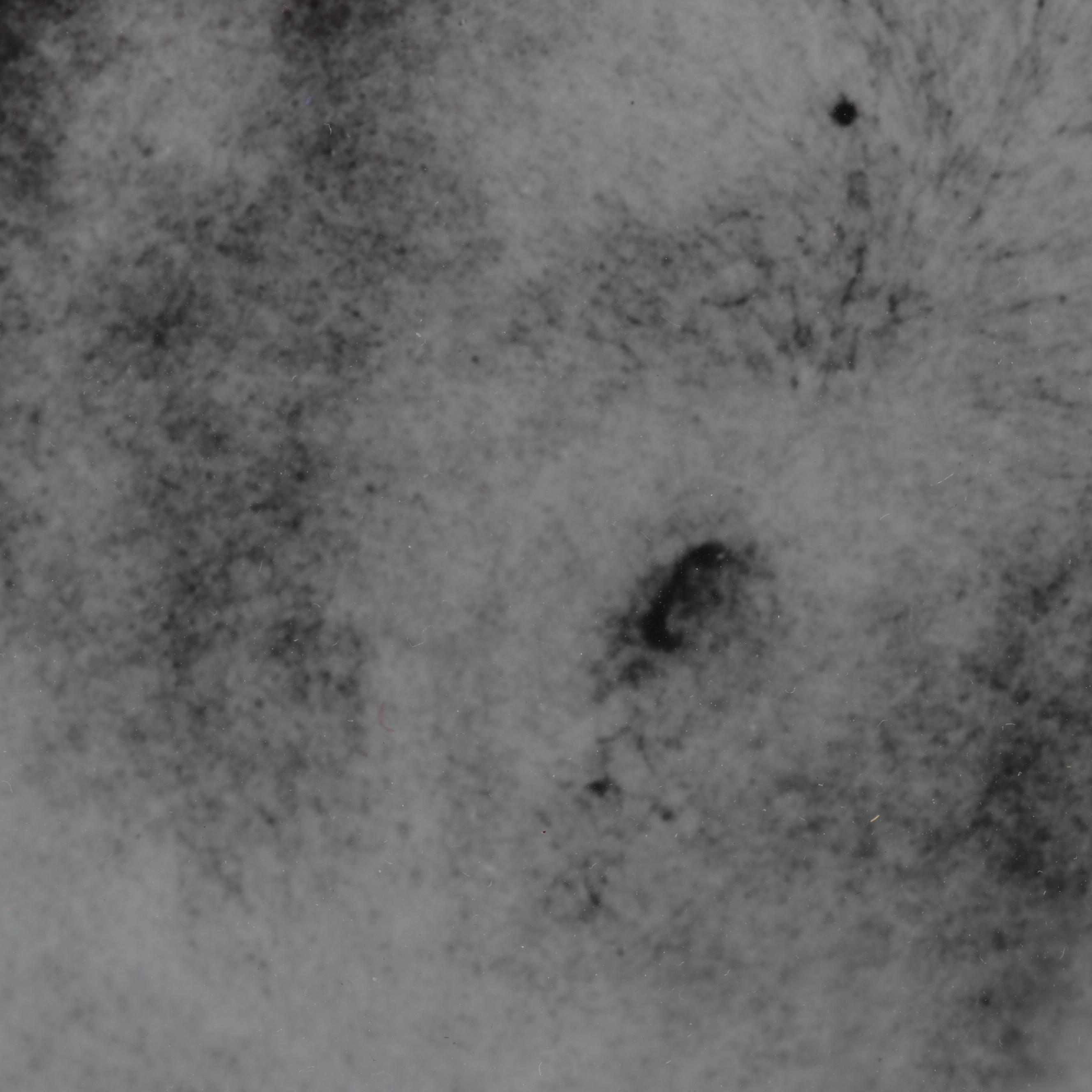 George Platt Lynes Silver Gelatin Print of Male Torso