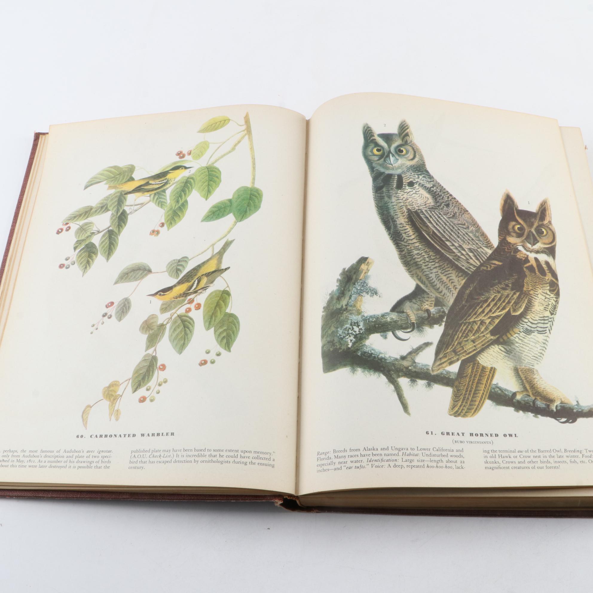 Signed First Impression "The Court of Lucifer" by Nathan Gallizier and More