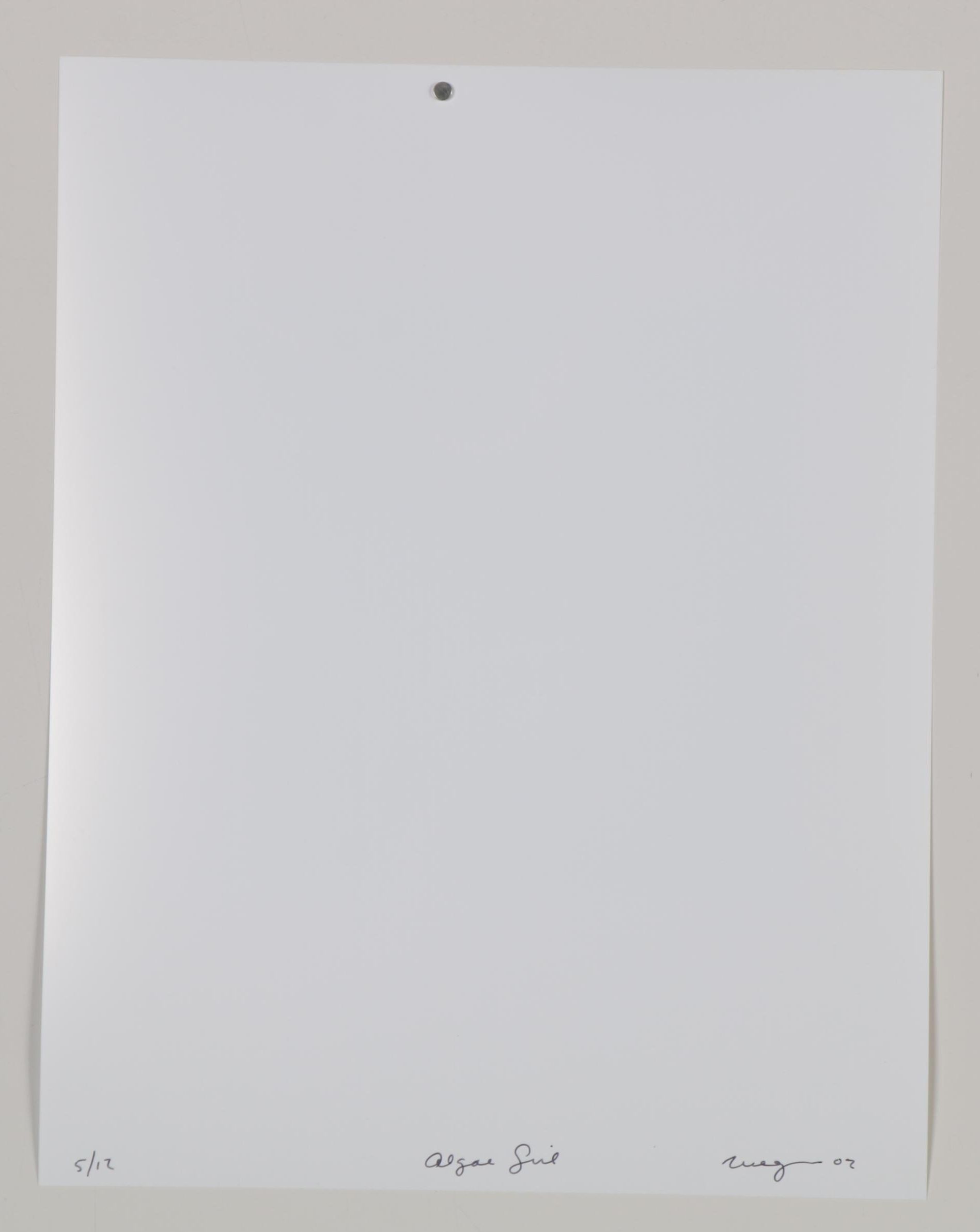 William Wegman Color Photograph "Algae Girl," 2002