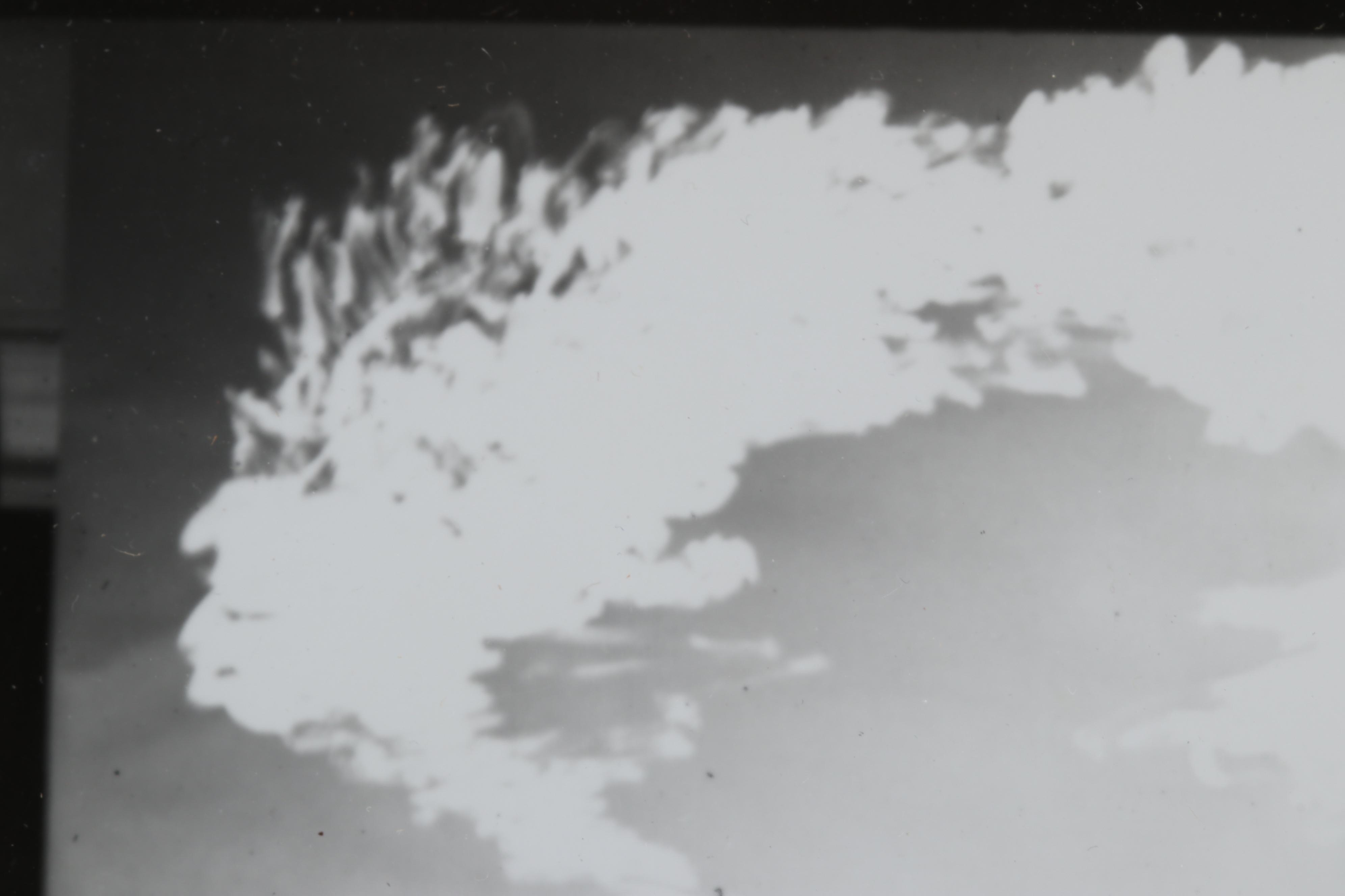 George Platt Lynes Reprinted Silver Gelatin Photograph "Charles Howard"