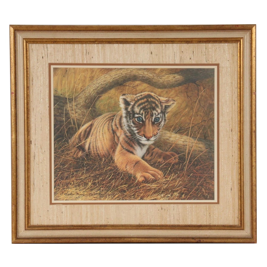 Charles Fracé Offset Lithograph "Tiger Cub"