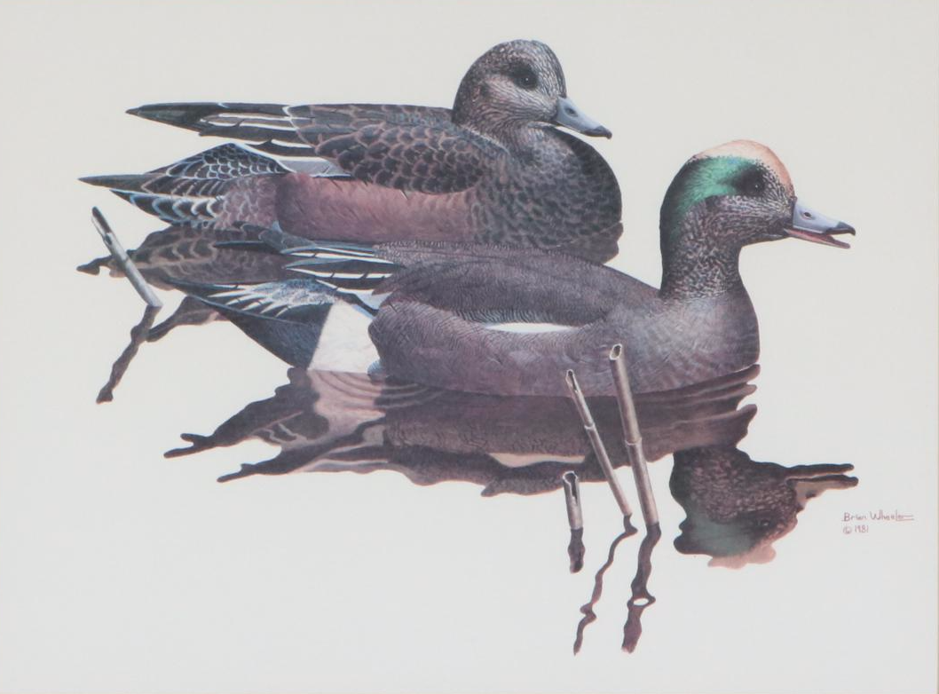 Offset Lithograph after Brian Wheeler, circa 1981