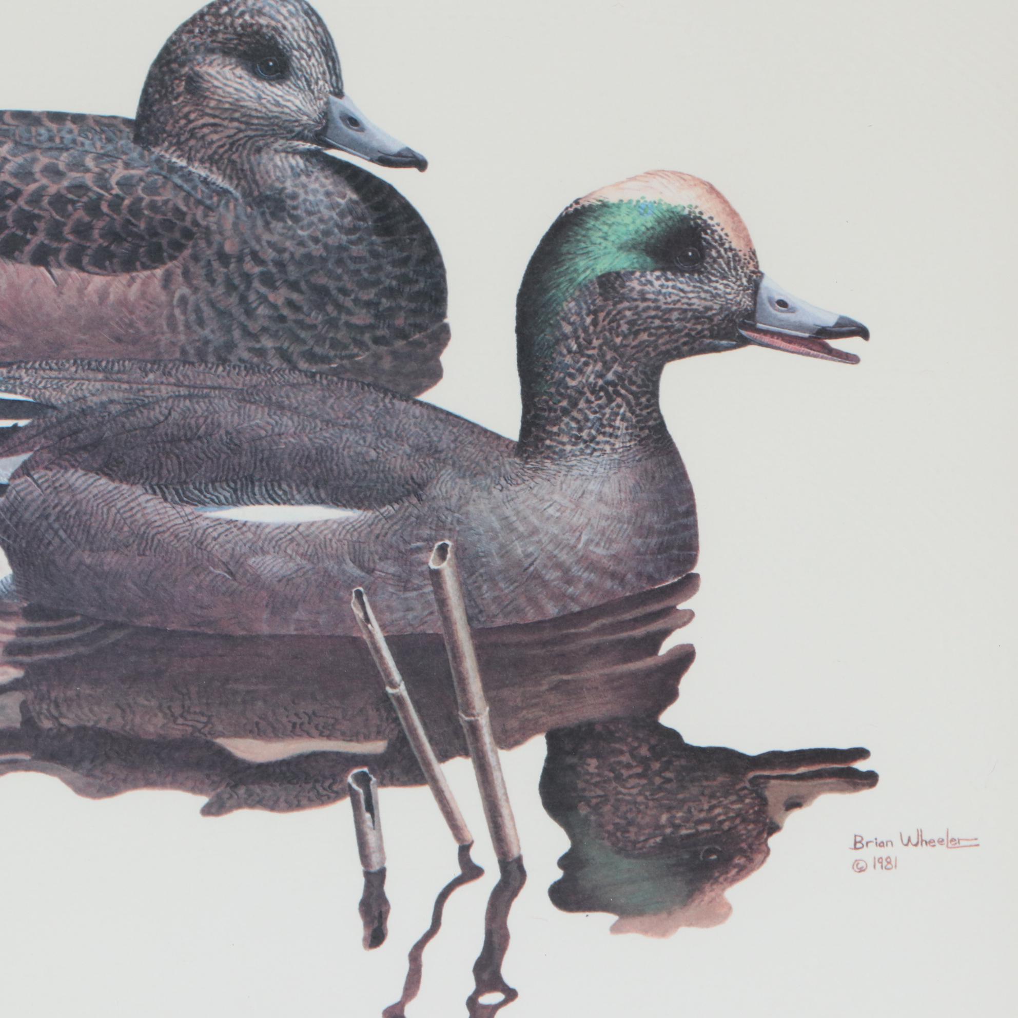 Offset Lithograph after Brian Wheeler, circa 1981