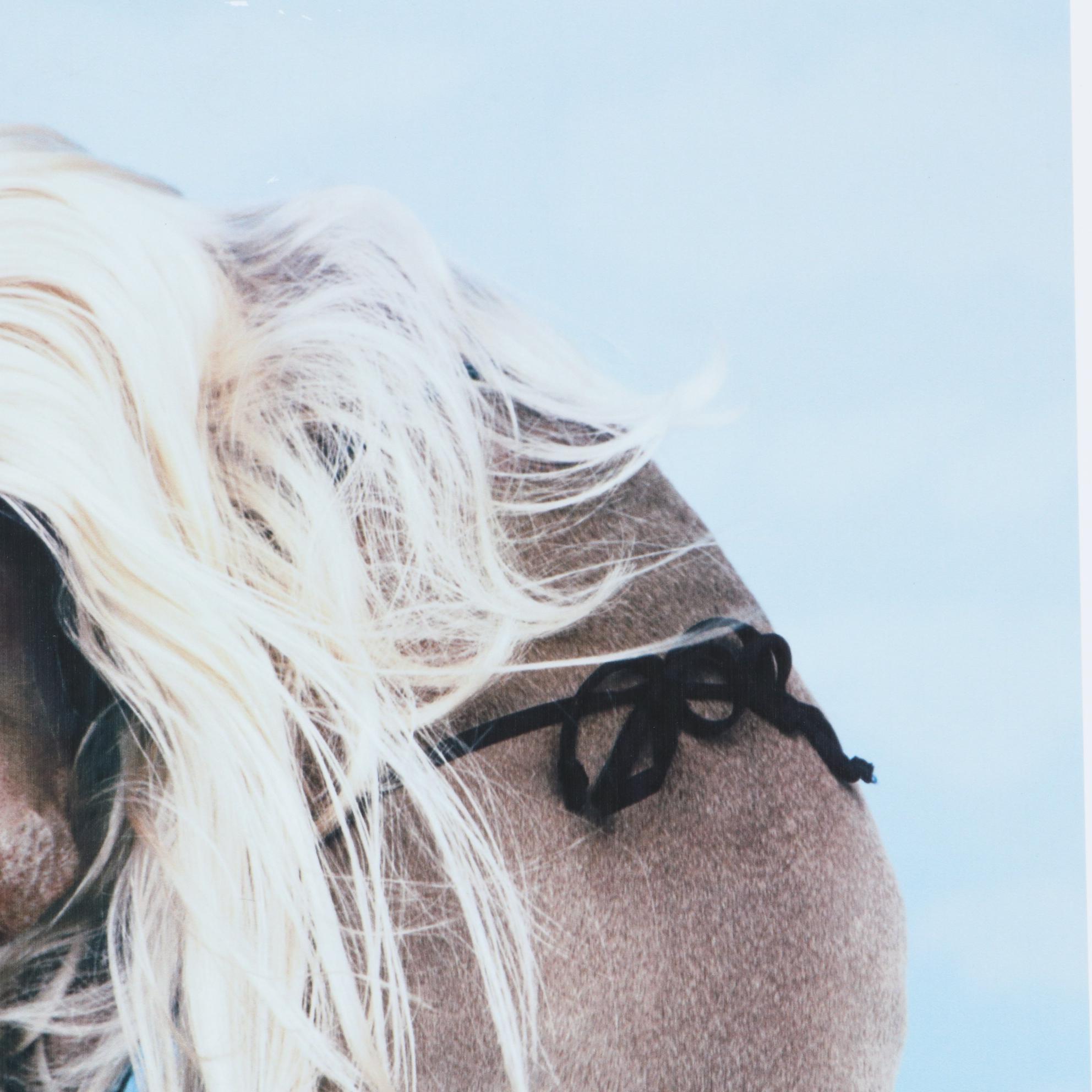 William Wegman Digital Print "Bikini," 1999