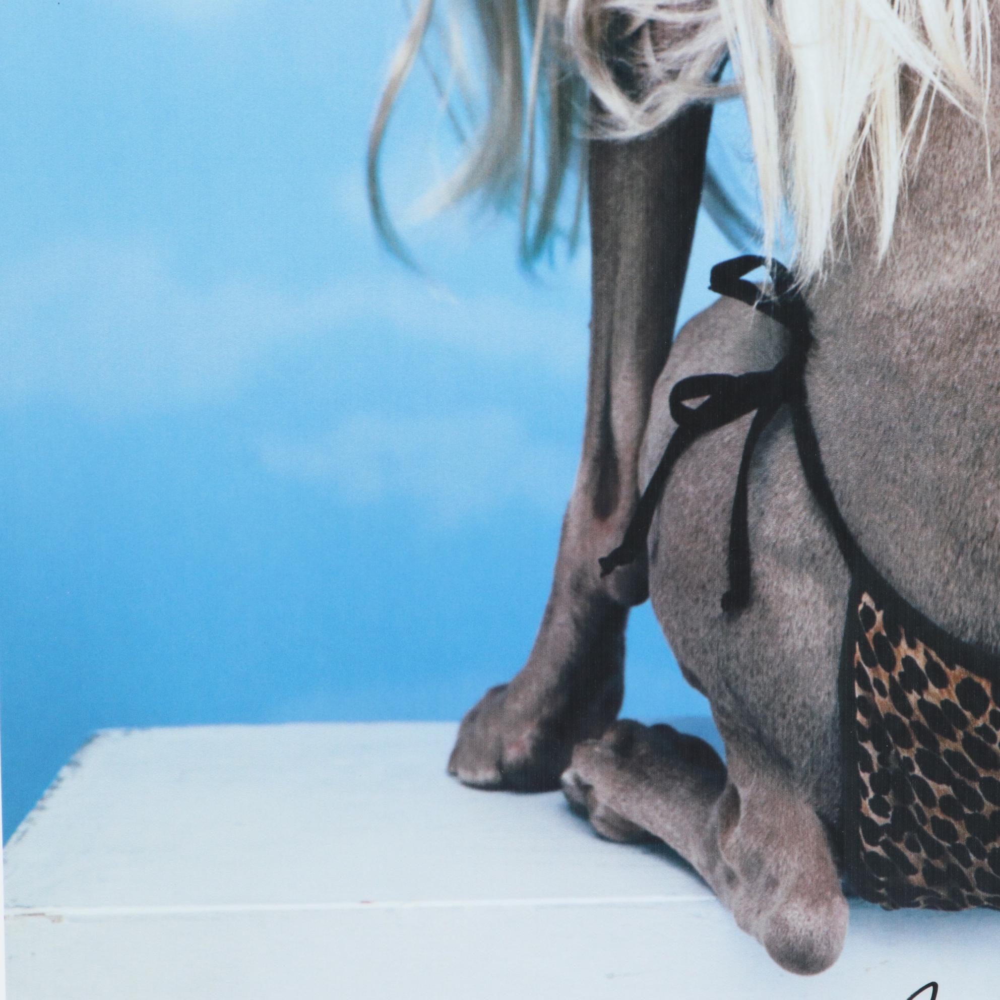 William Wegman Digital Print "Bikini," 1999