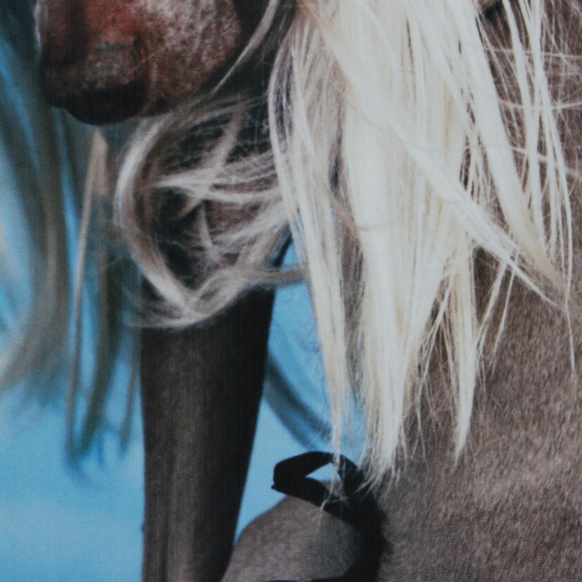 William Wegman Digital Print "Bikini," 1999