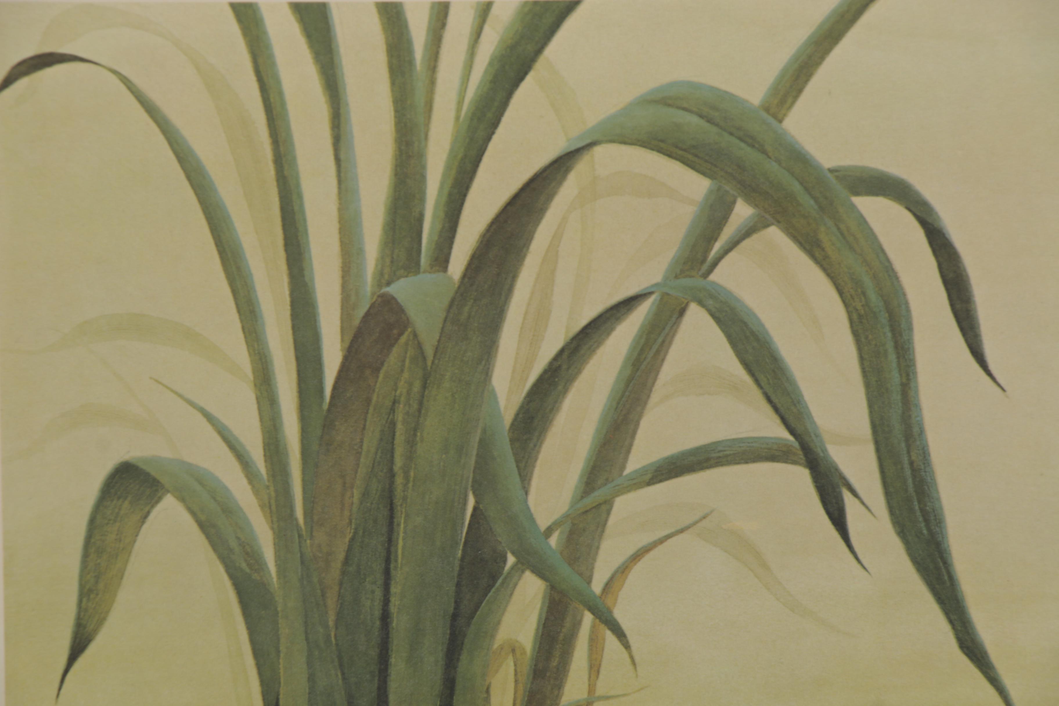 John Ruthven Offset Lithograph "Ruddy Duck Family"