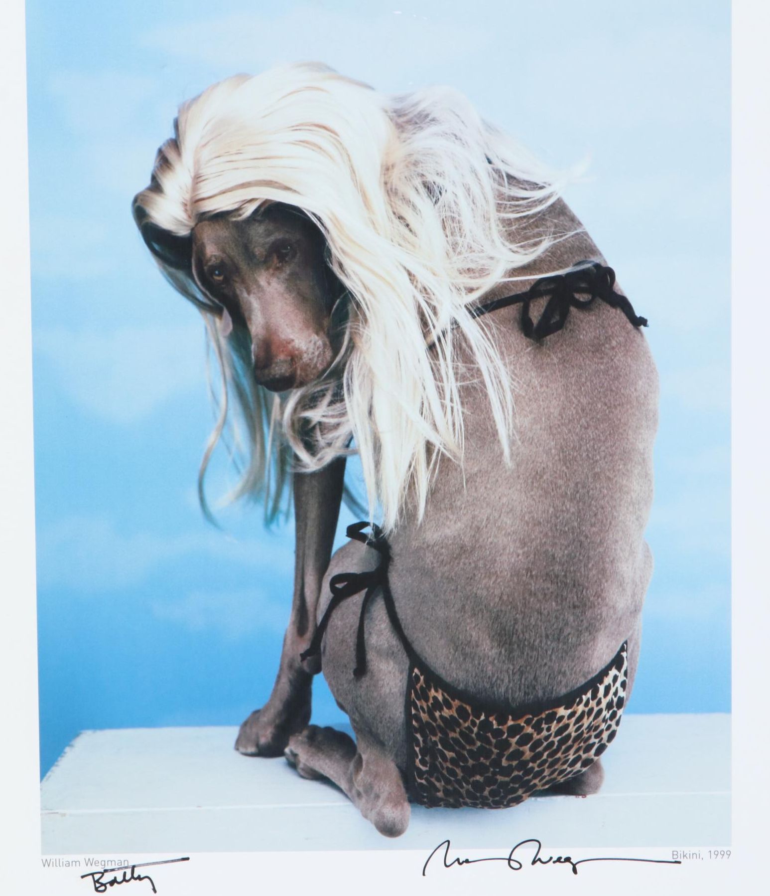 William Wegman Digital Print "Bikini," 1999