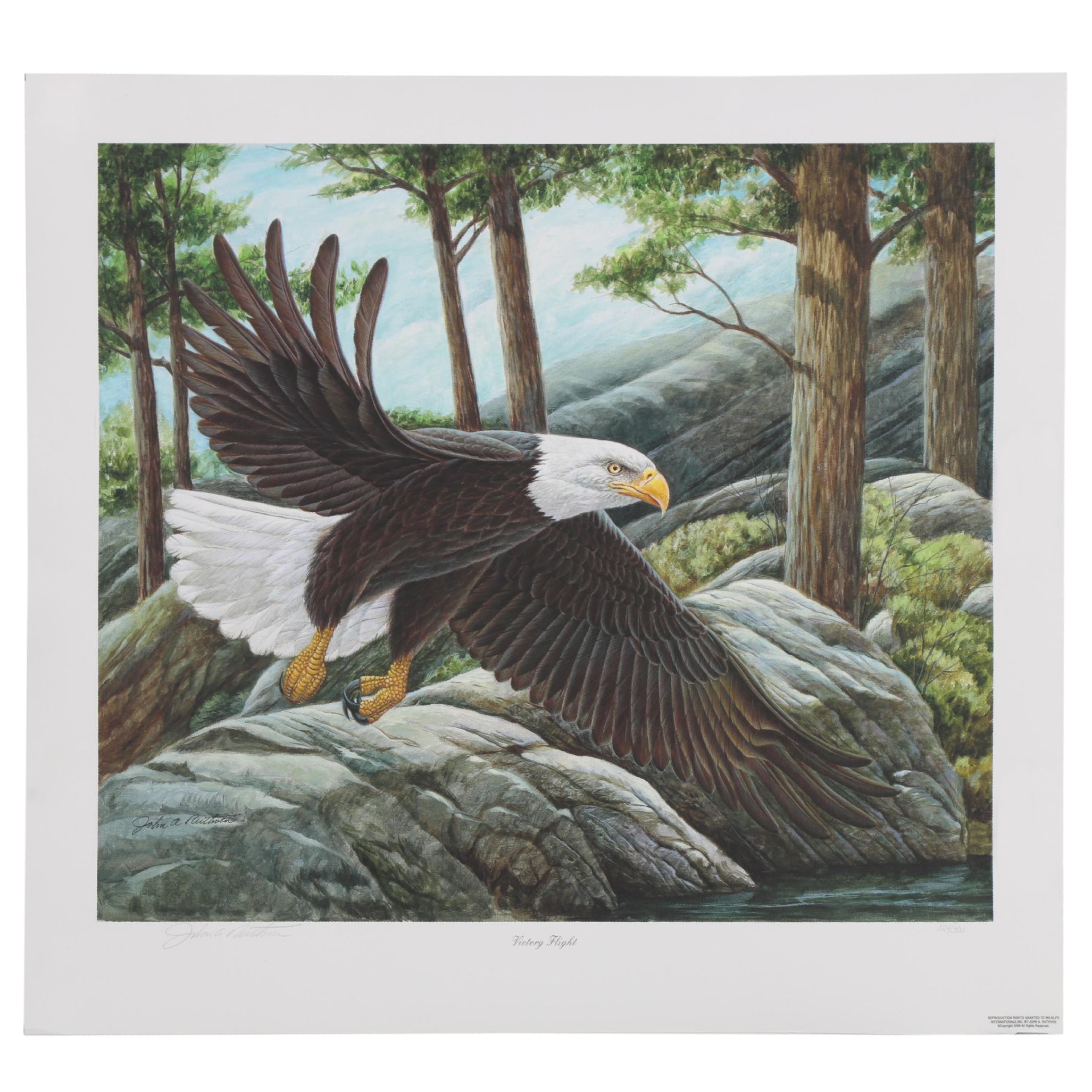 John A. Ruthven Giclée "Victory Flight," 2006