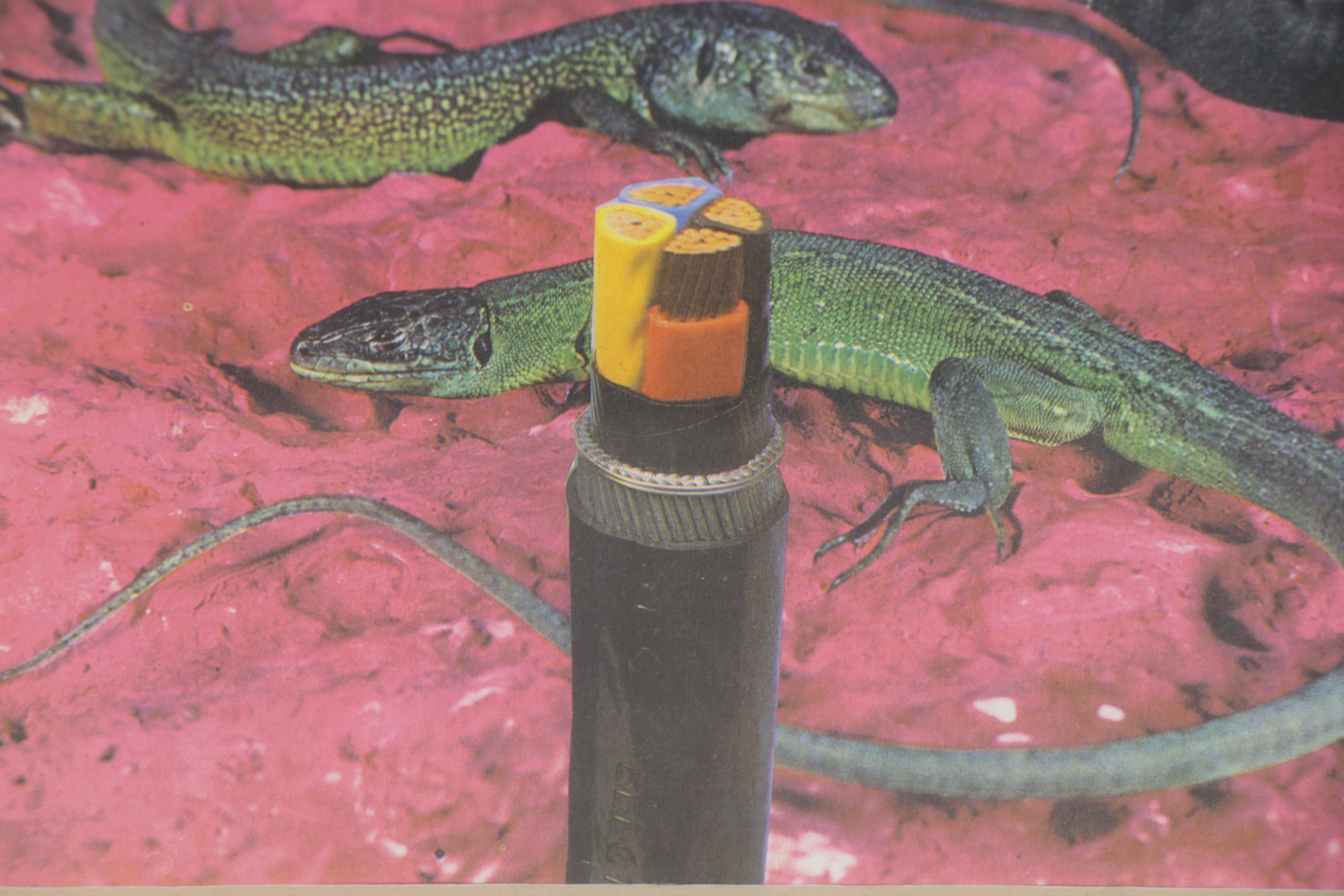 Keith Banner Giclée "The Explananation," 1999