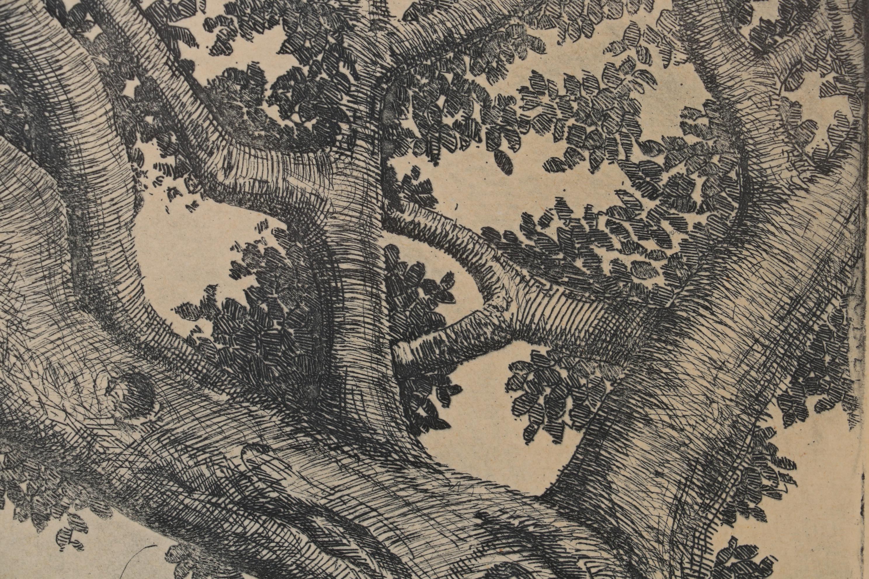 Fritz Bade Etching "Live Oak," Mid 20th Century