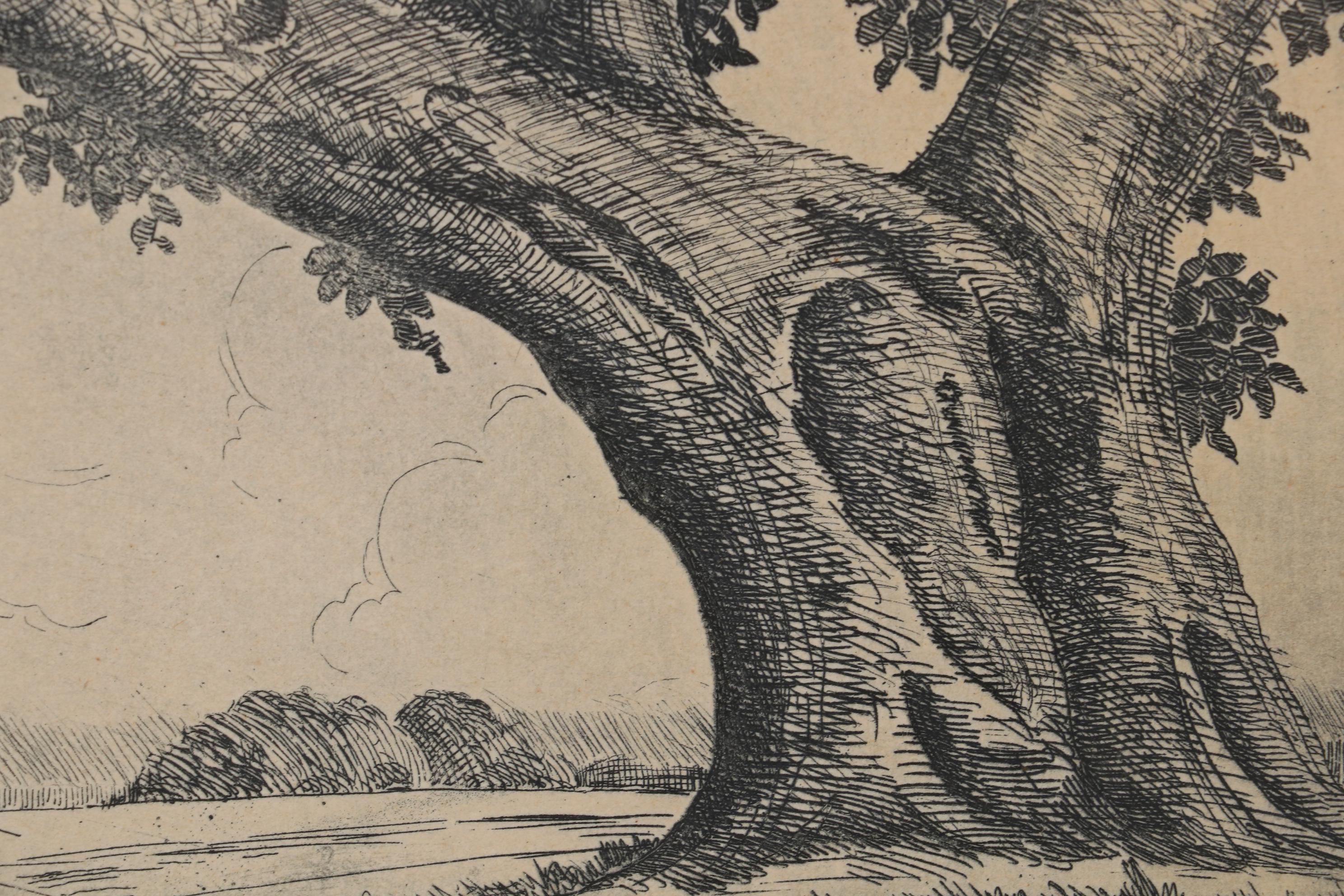Fritz Bade Etching "Live Oak," Mid 20th Century