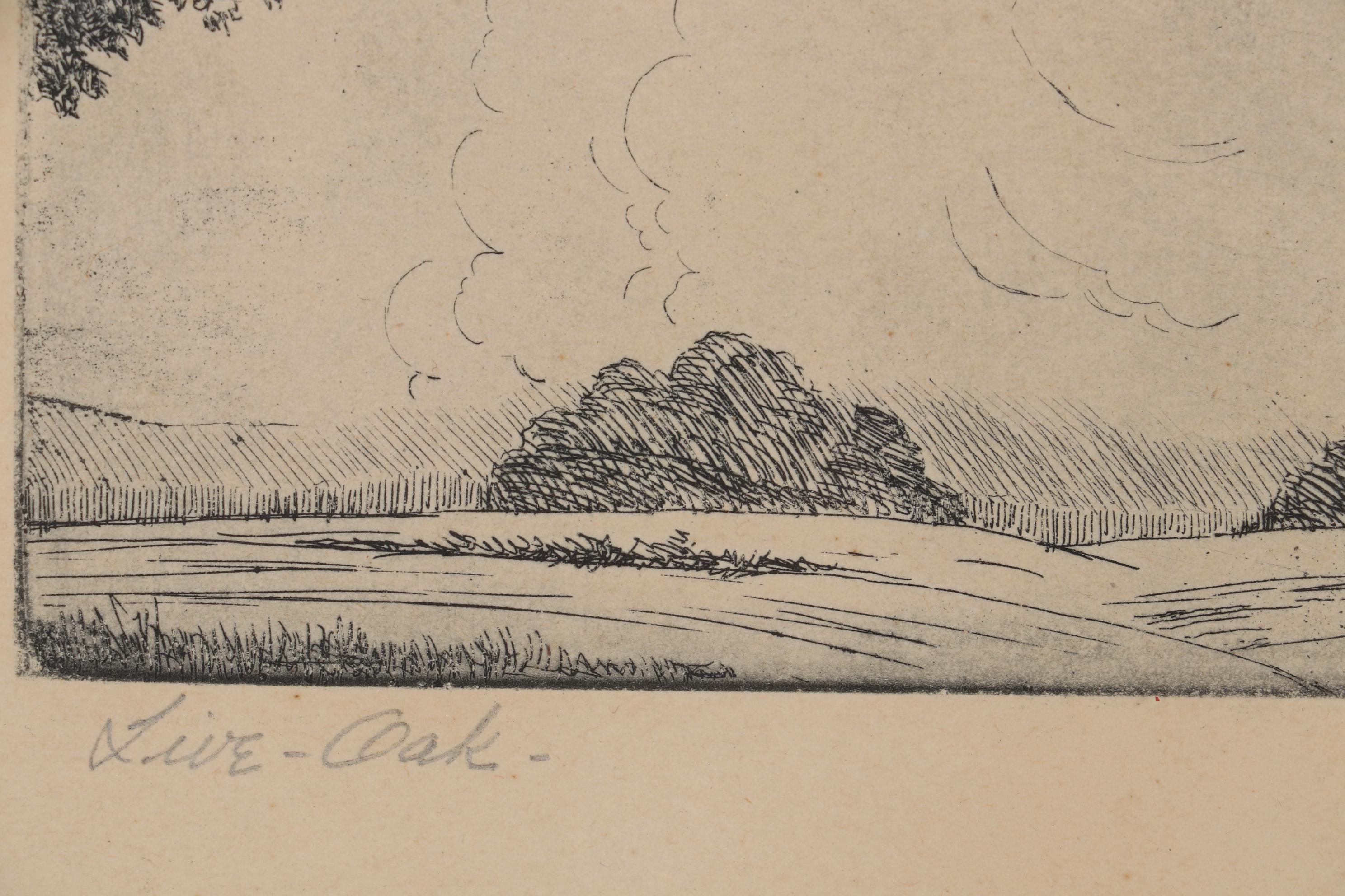 Fritz Bade Etching "Live Oak," Mid 20th Century