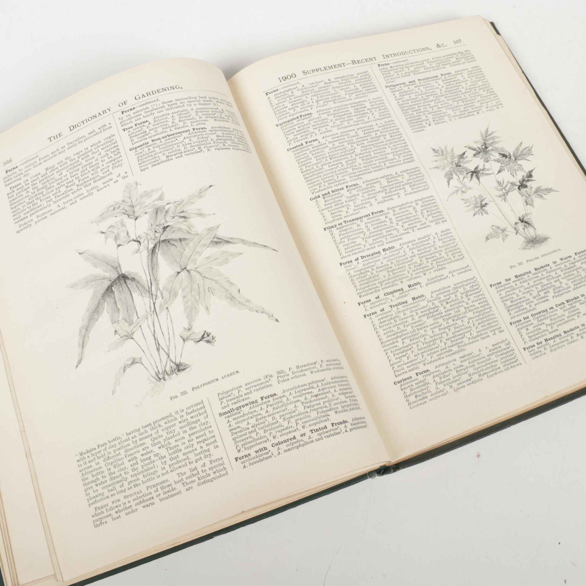 "Illustrated Dictionary of Gardening" Eight-Volume Set with Supplements, 1900