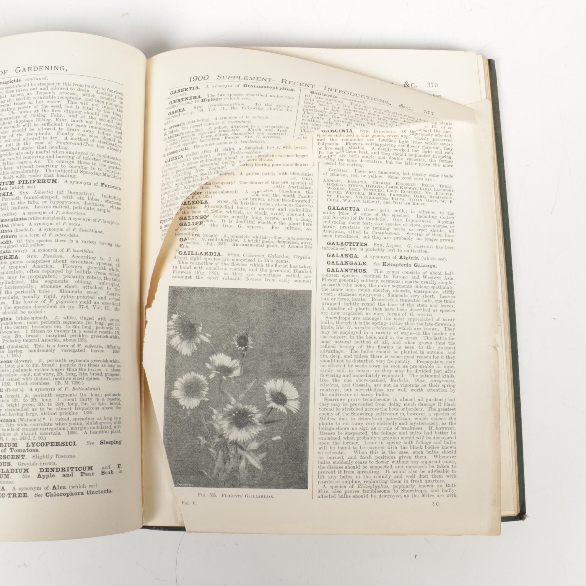 "Illustrated Dictionary of Gardening" Eight-Volume Set with Supplements, 1900