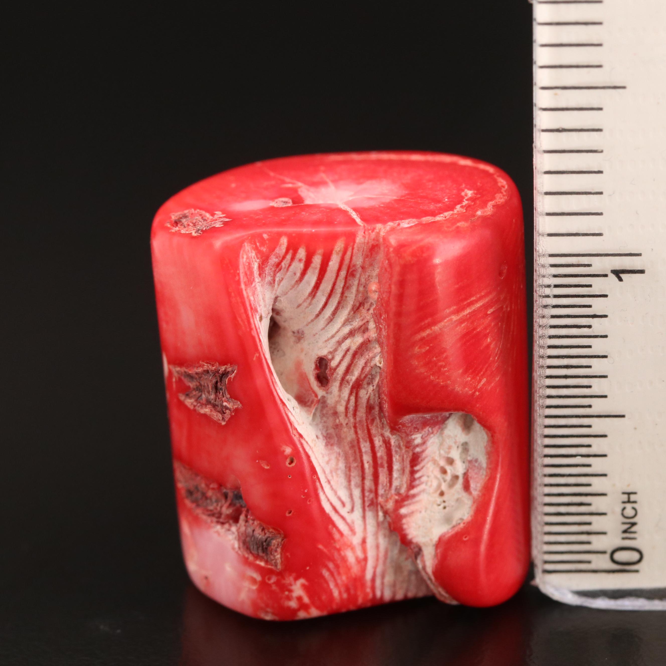 Loose Polished Brack Coral