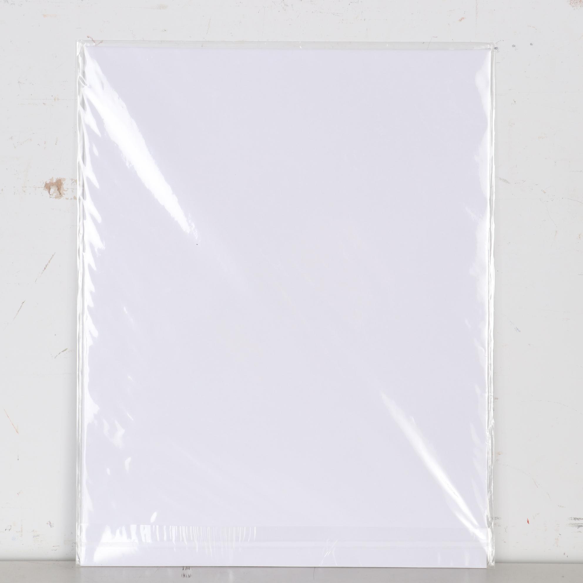 Roy Livingston Giclée of Colorized X-Ray of Toy Robot