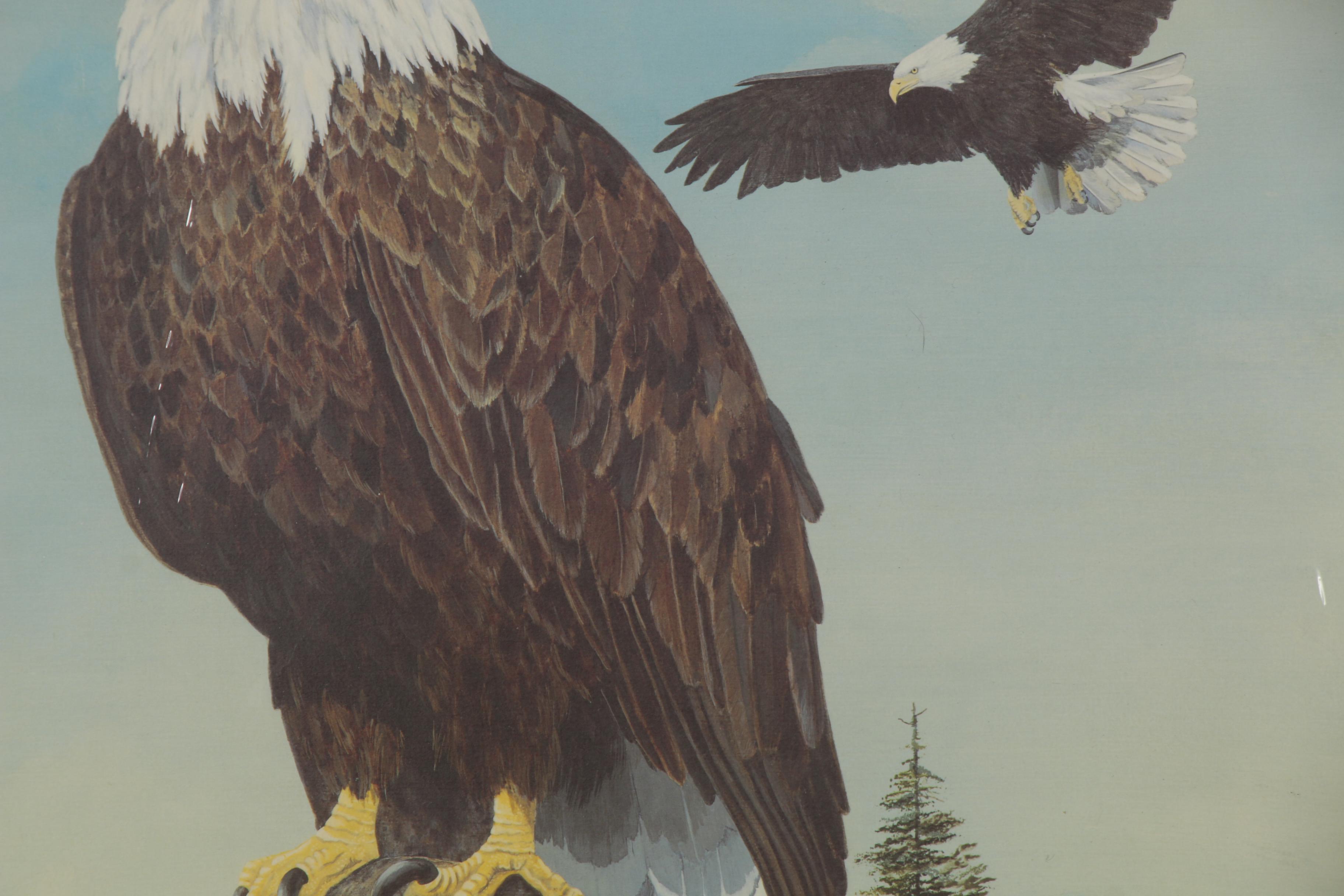 Catherine Girard Offset Lithograph of Bald Eagle, Late 20th Century