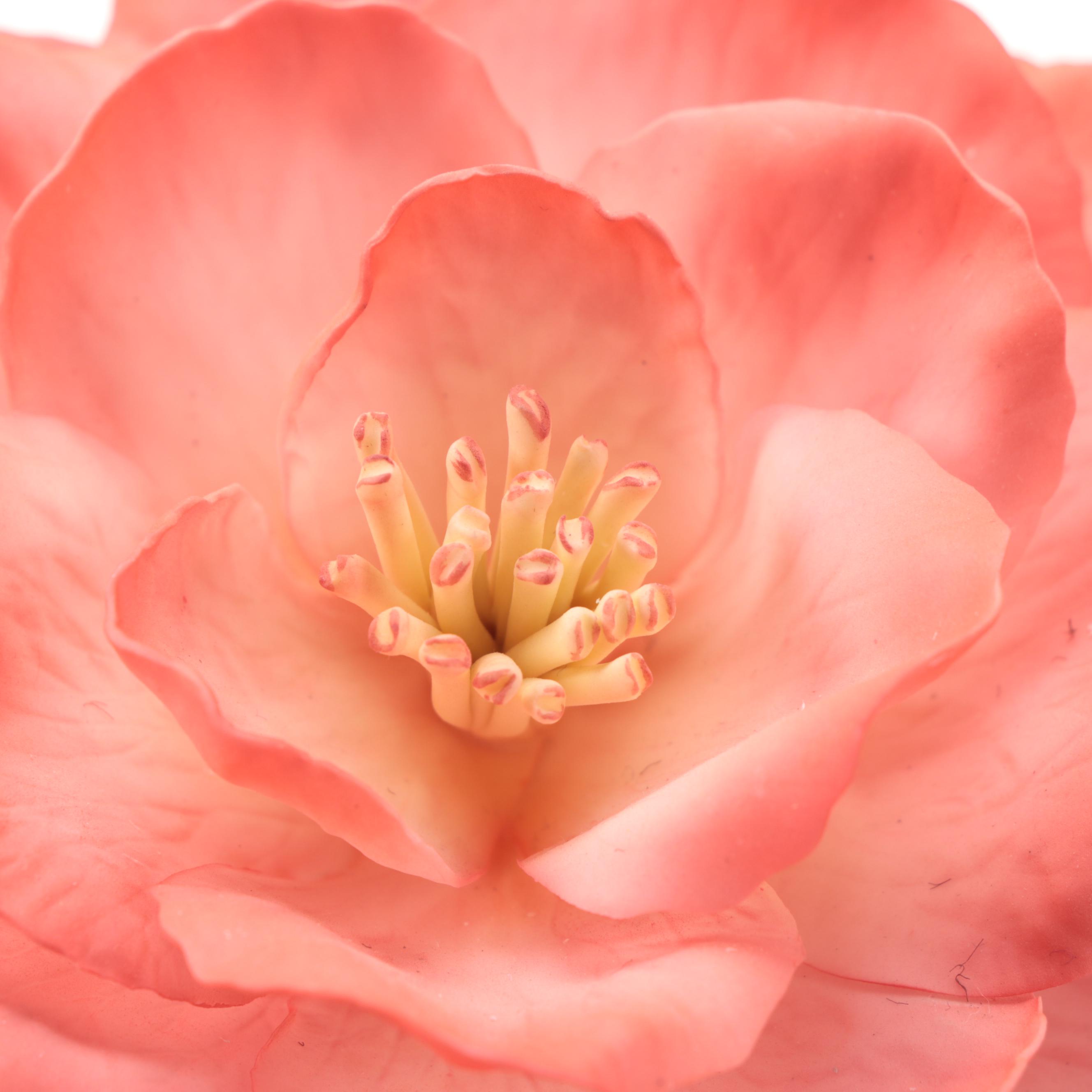 Boehm "Joyful Bells Camellia" Porcelain Figurine, 1993