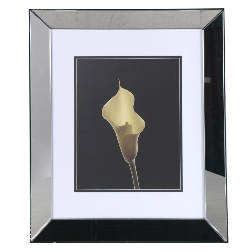 Calla Lily Offset Lithograph in Mirrored Frame