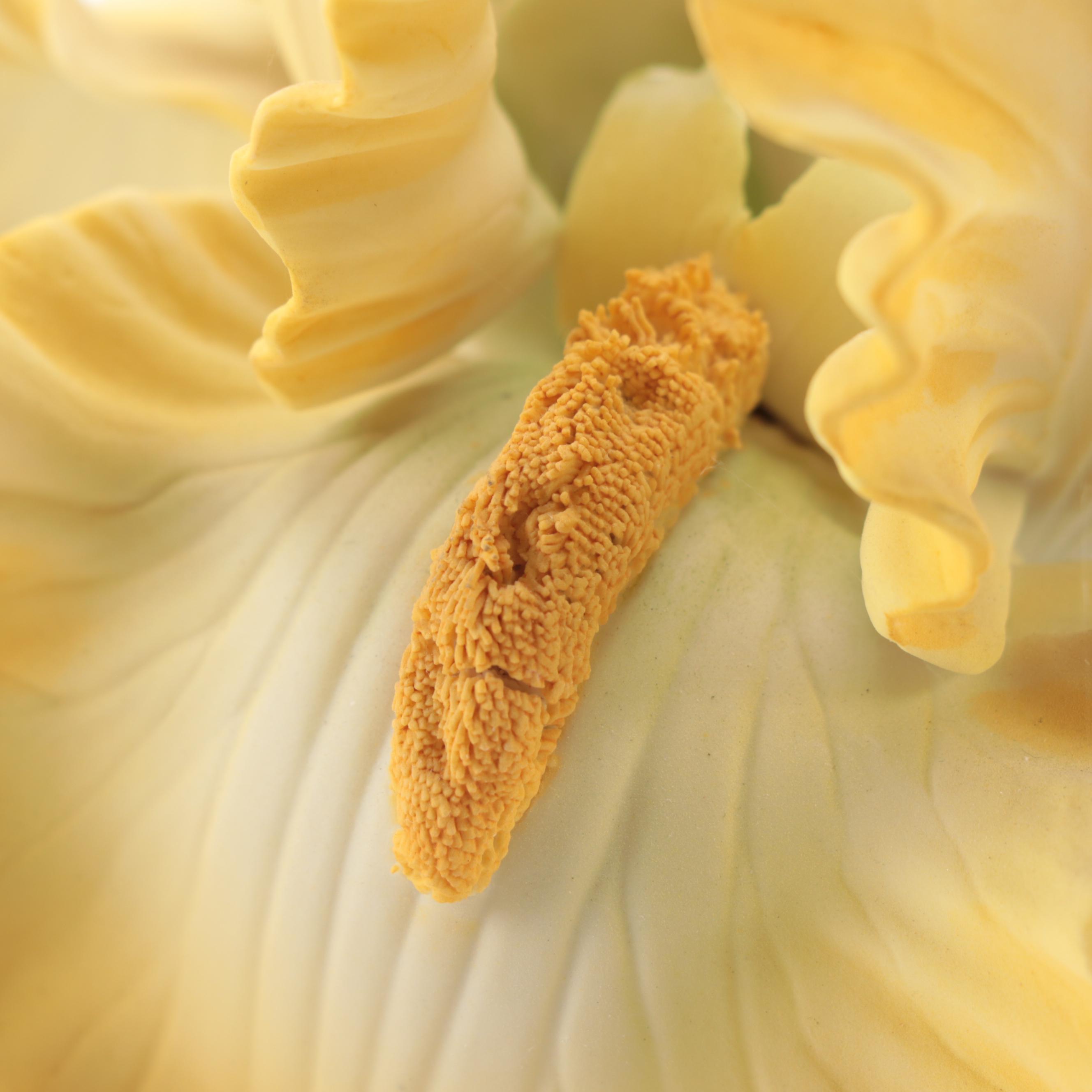 Boehm "Barbara Bush Rose" and "Helen Boehm Yellow Iris" Porcelain Figurines