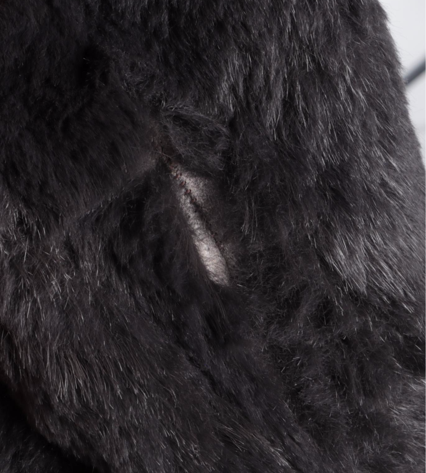 Sheared Dyed Beaver Fur Zip Jacket with Mongolian Lamb Fur Collar