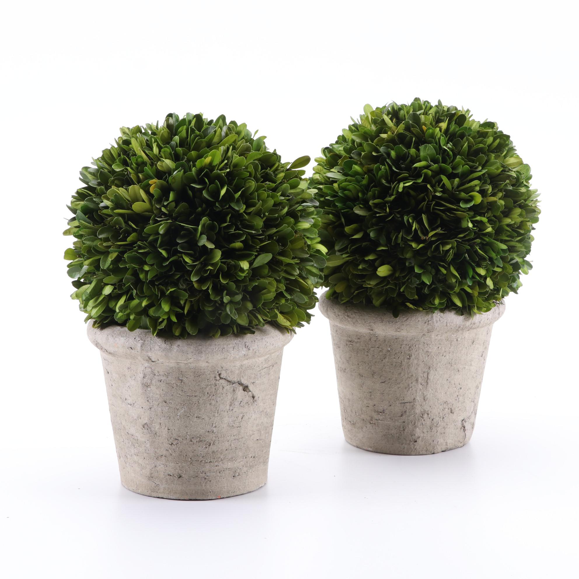 Restoration Hardware Boxwood Topiaries, Beverage Tub and Other Décor