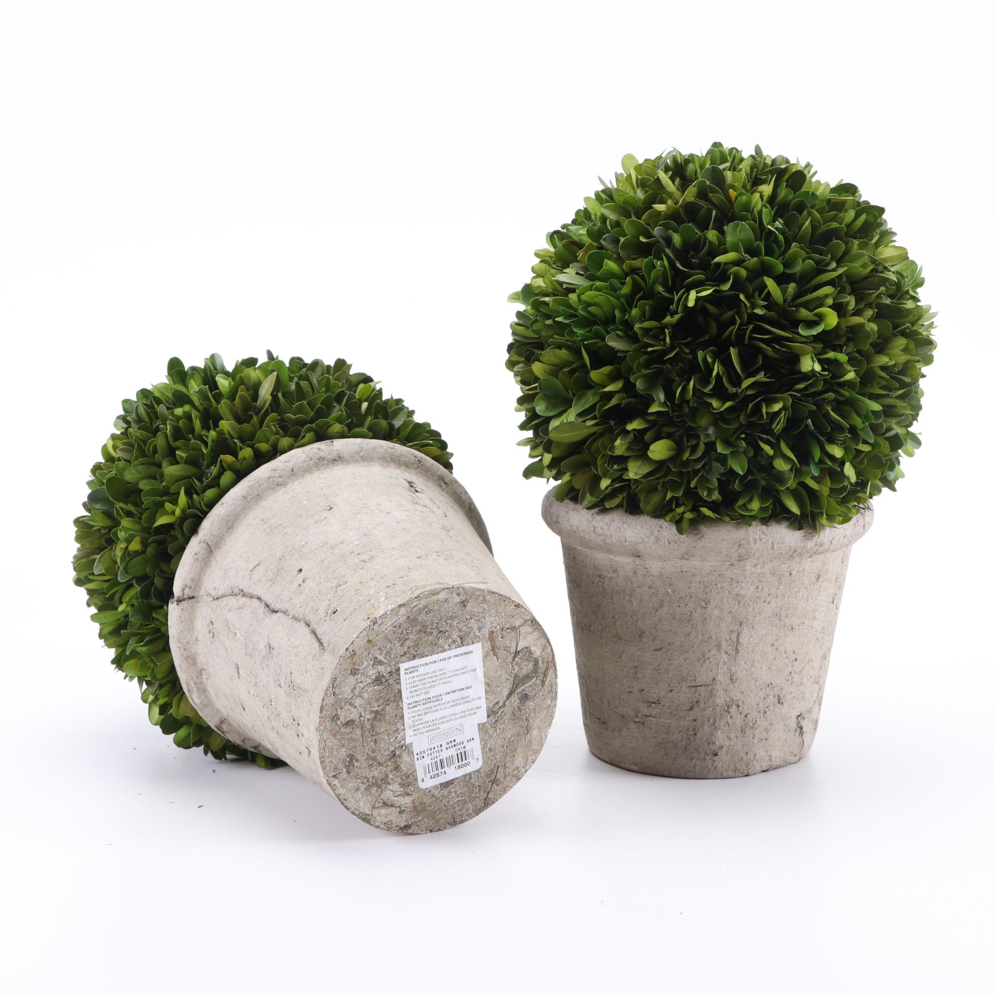 Restoration Hardware Boxwood Topiaries, Beverage Tub and Other Décor