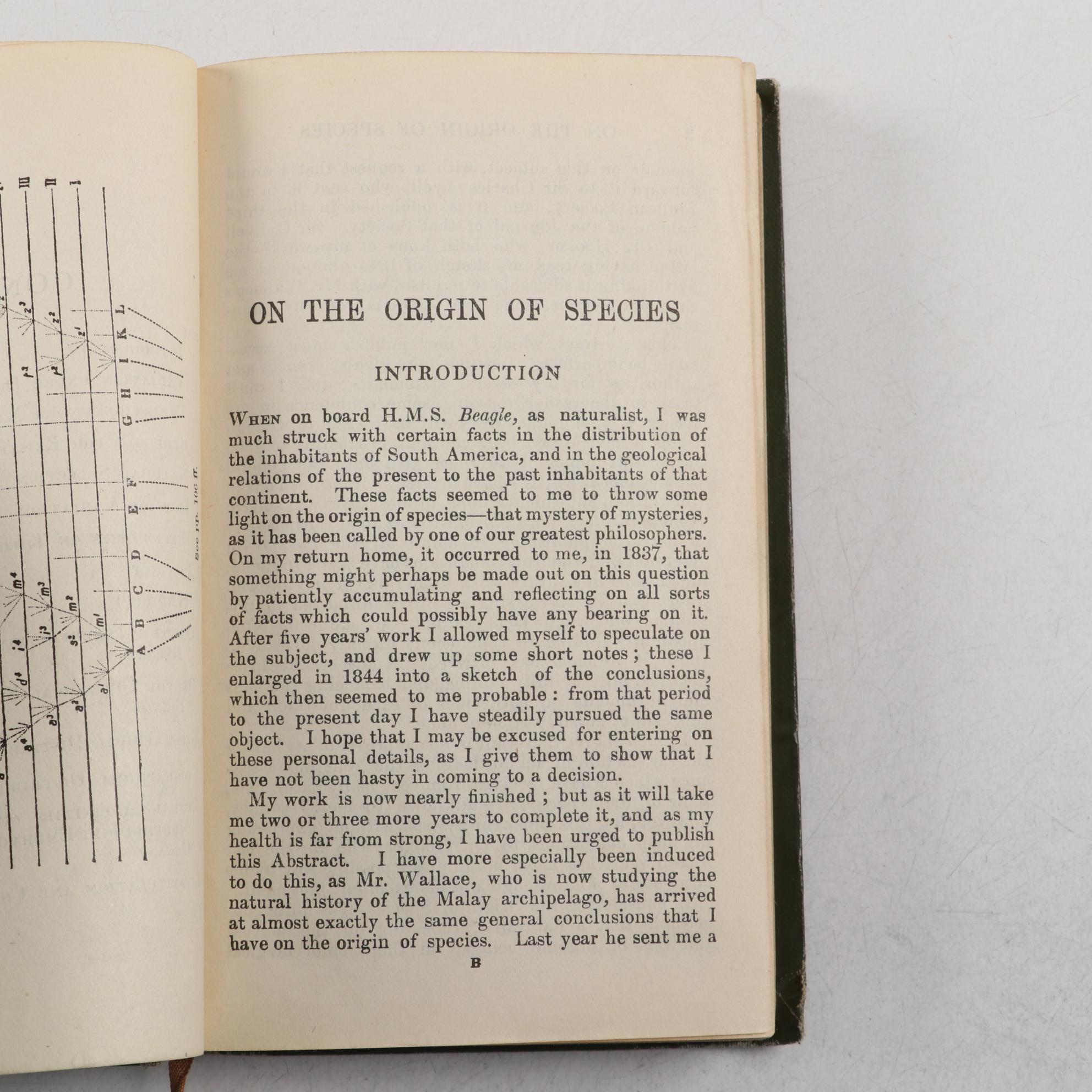 "Art Decoration Applied to Furniture" by Harriet Spofford and Other Books