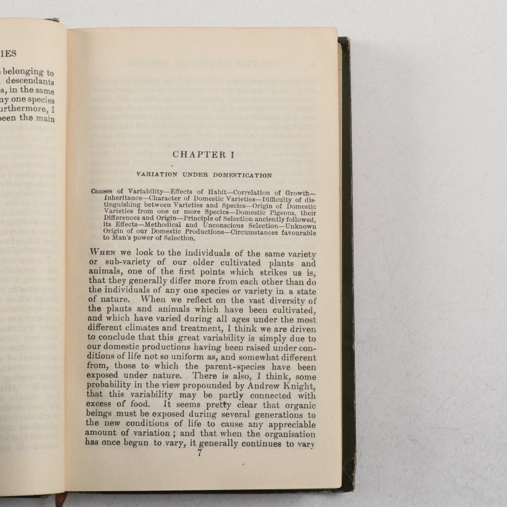 "Art Decoration Applied to Furniture" by Harriet Spofford and Other Books