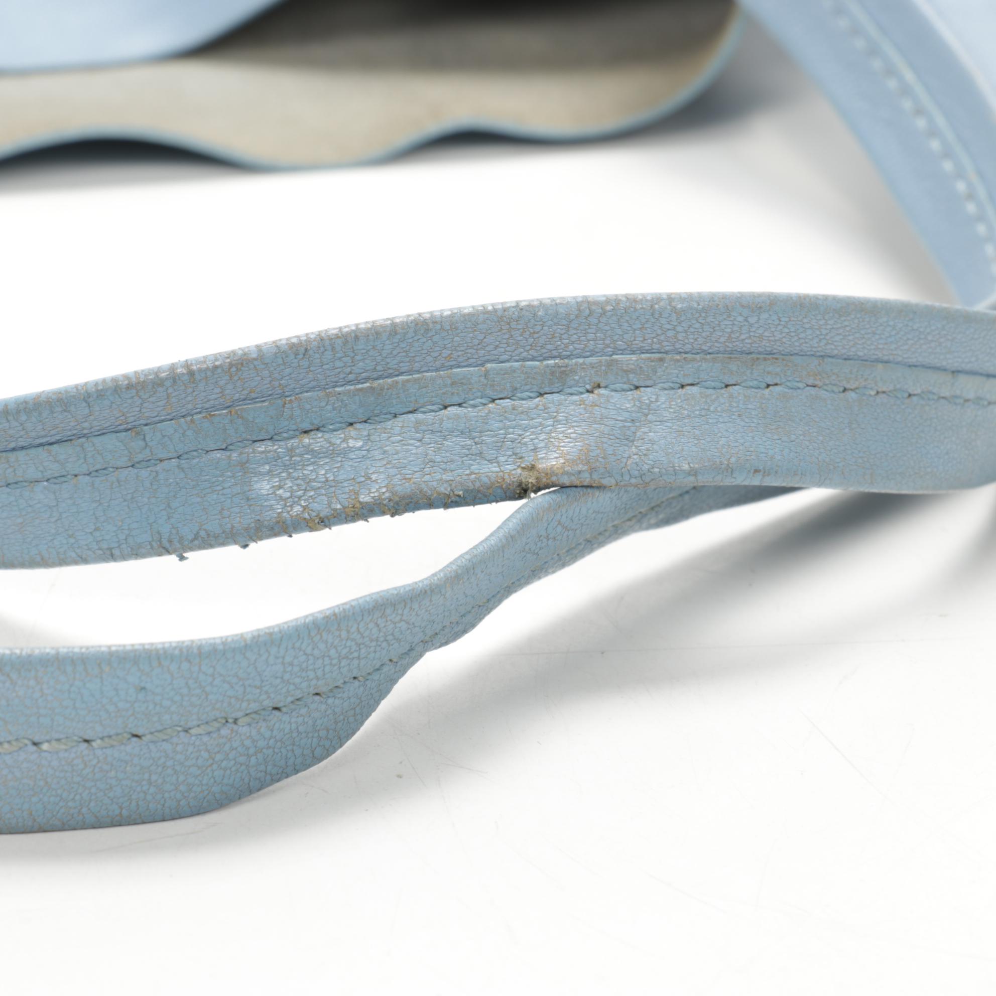 Céline Cabas Phantom Tote in Color Block Powder Blue and Navy Leather