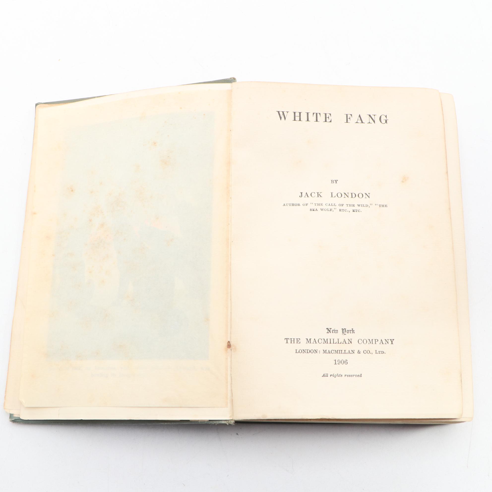 First Edition, First Printing "White Fang" by Jack London, 1906
