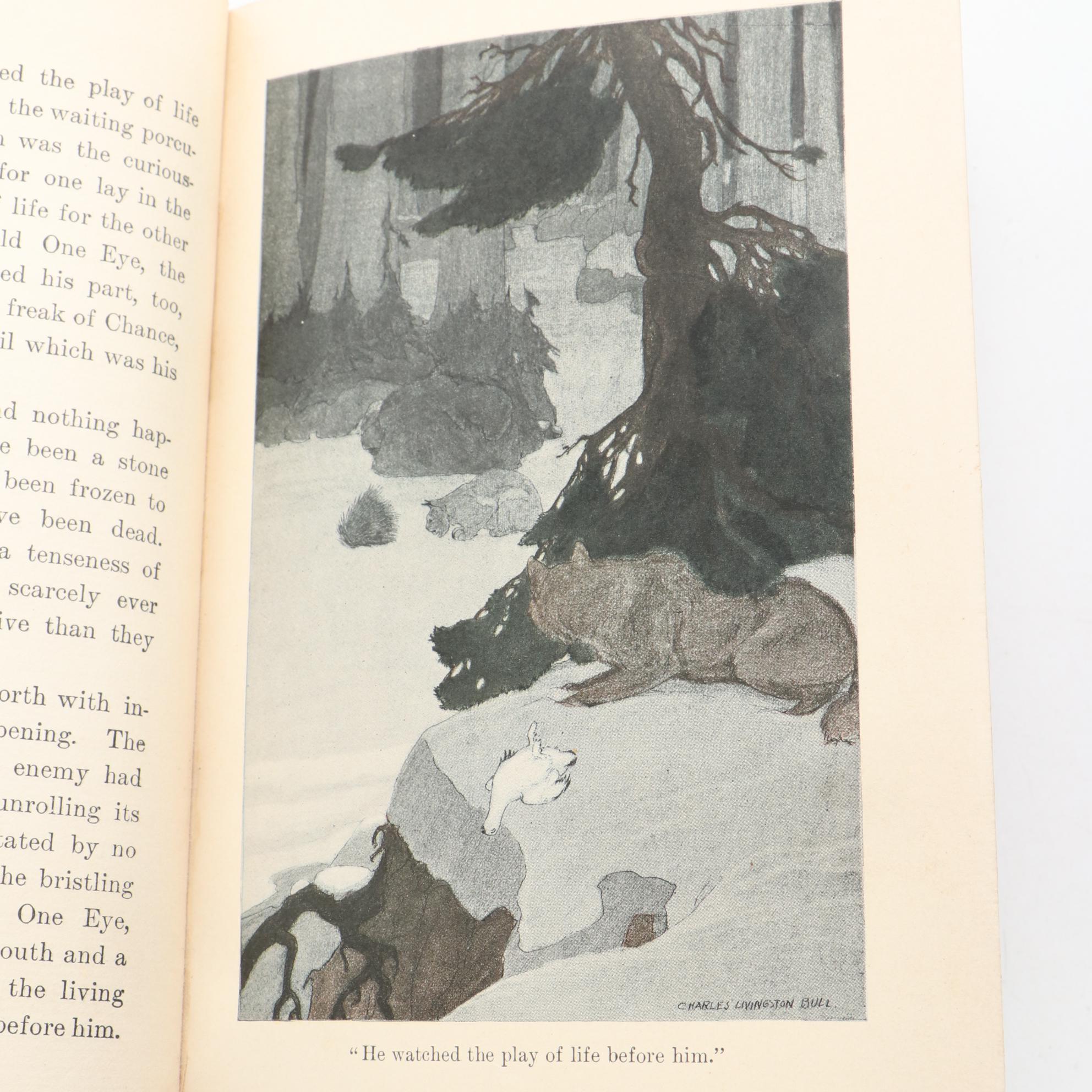 First Edition, First Printing "White Fang" by Jack London, 1906