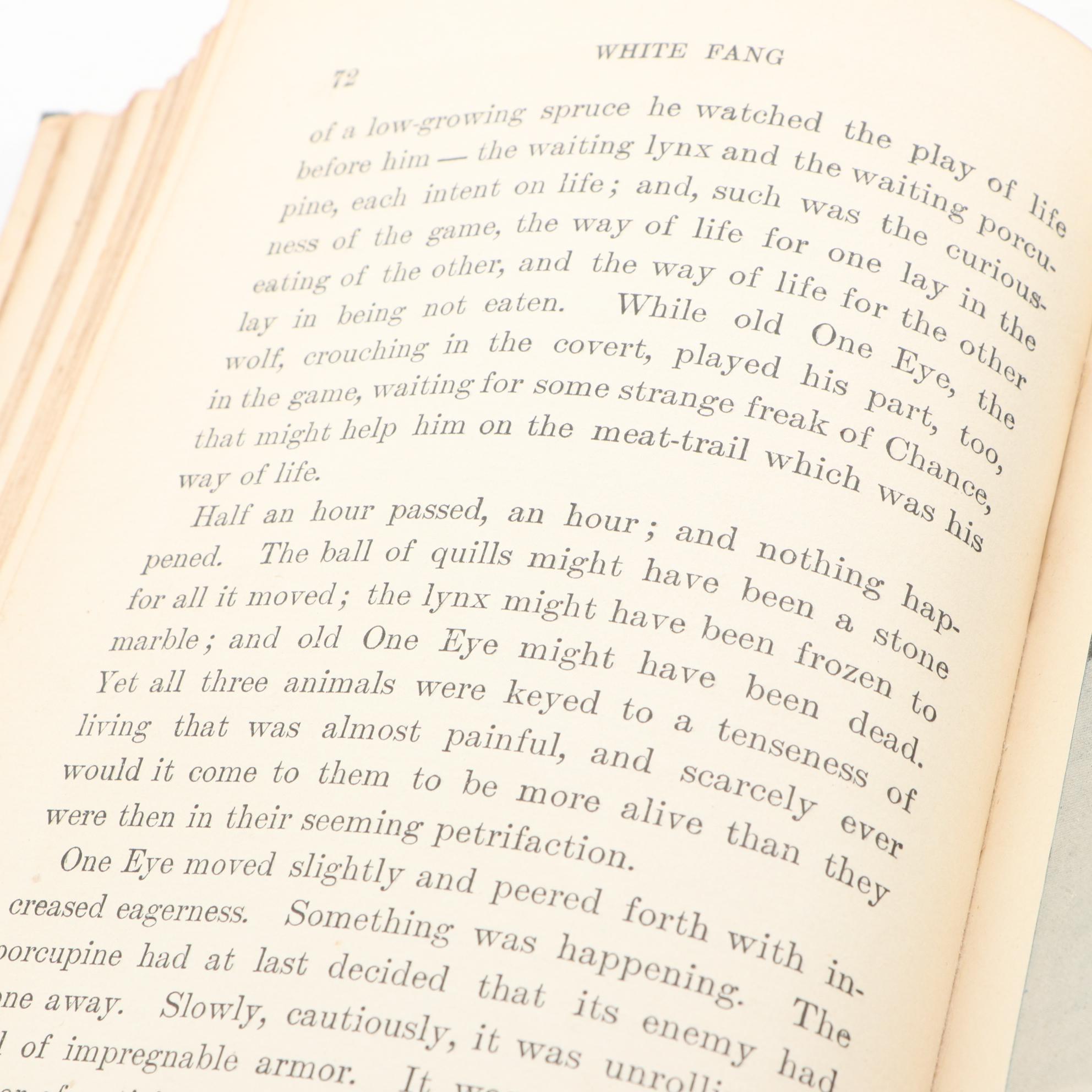 First Edition, First Printing "White Fang" by Jack London, 1906