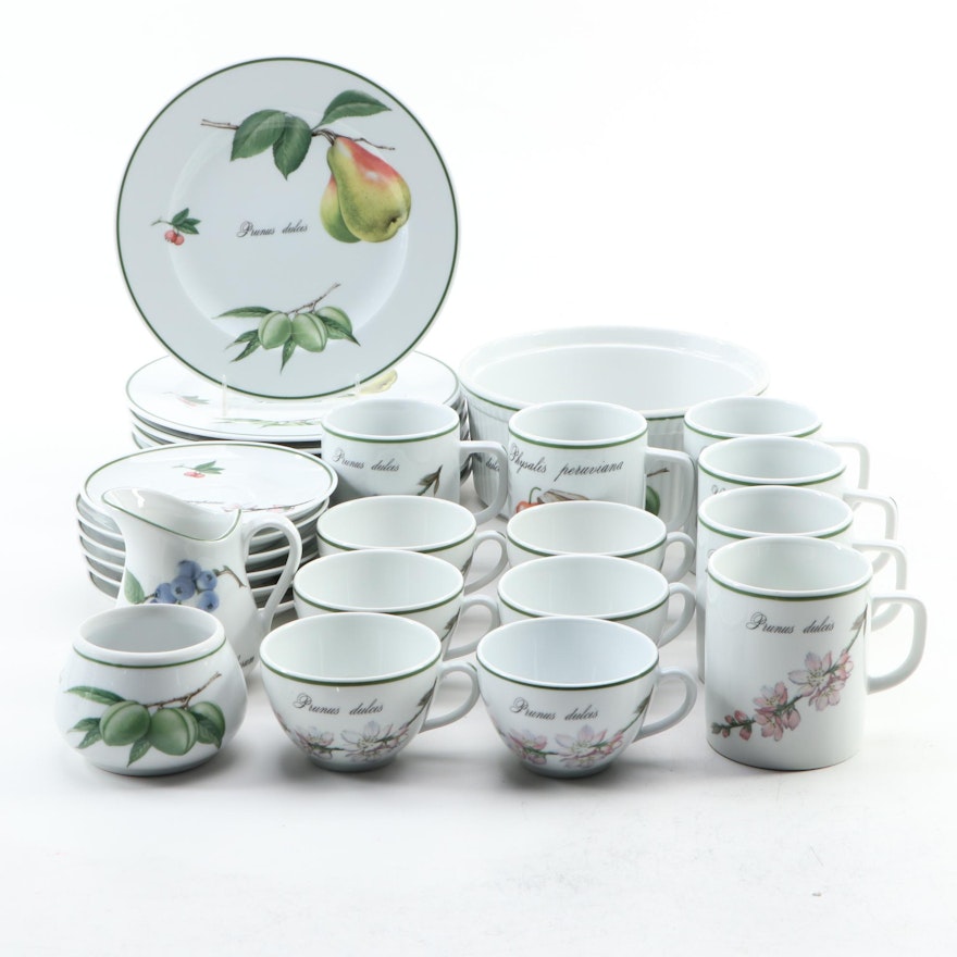 Apilco "Elysian Garden" Porcelain Dinnerware and Bakeware