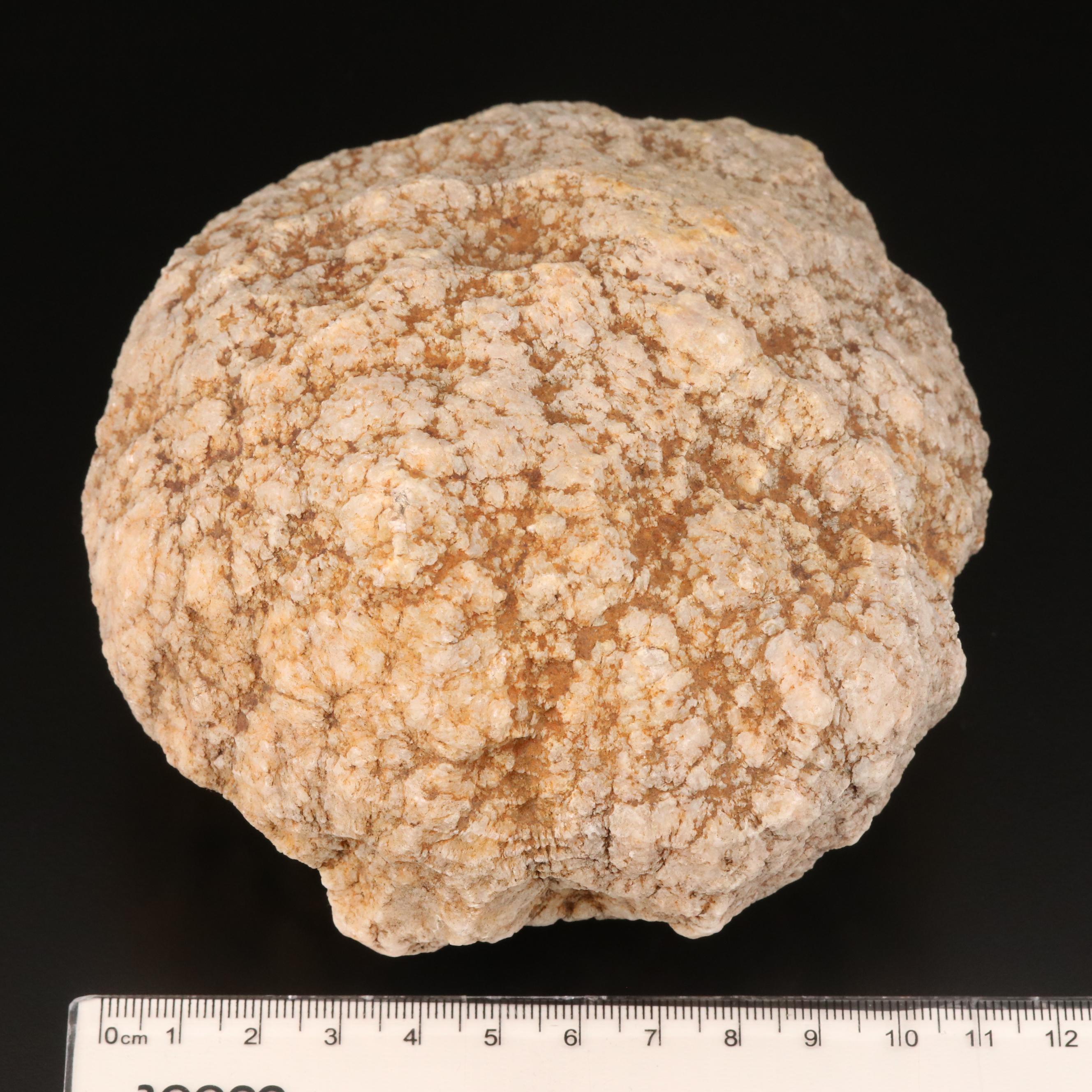 Polished and Rough Gemstones Including Tiger's Eye, Turquoise, Jasper, and More