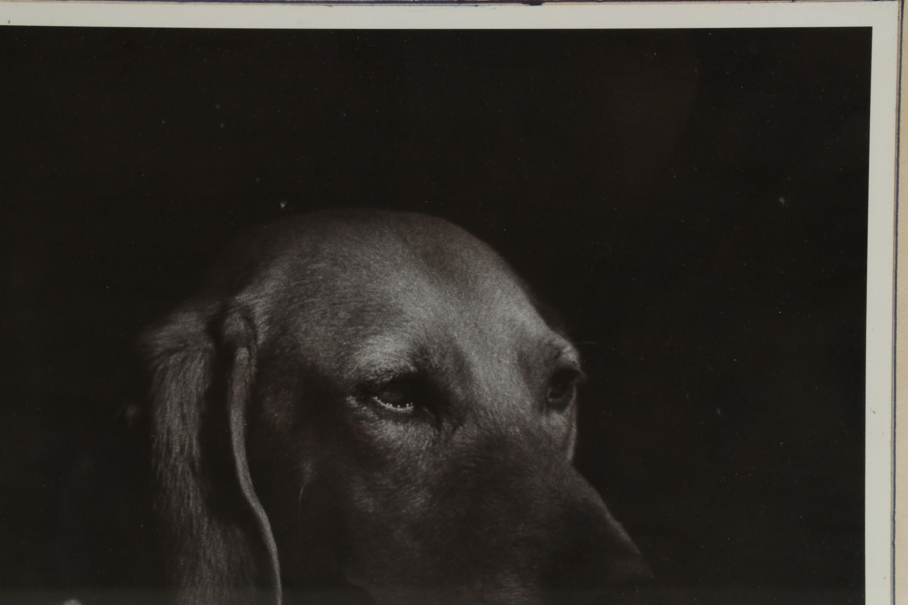 Marquetry and Photograph of Canine Portraits, Late 20th Century