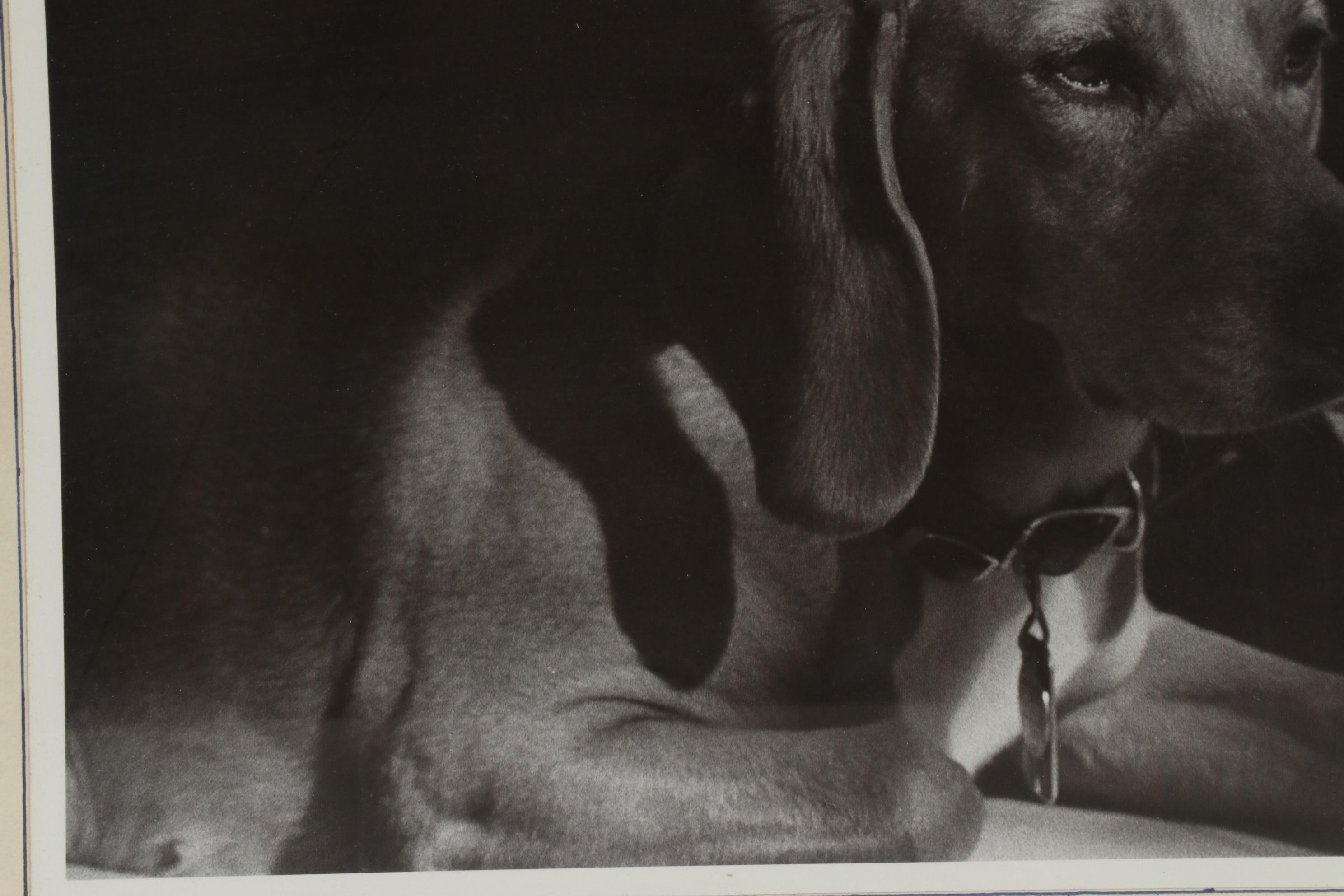 Marquetry and Photograph of Canine Portraits, Late 20th Century