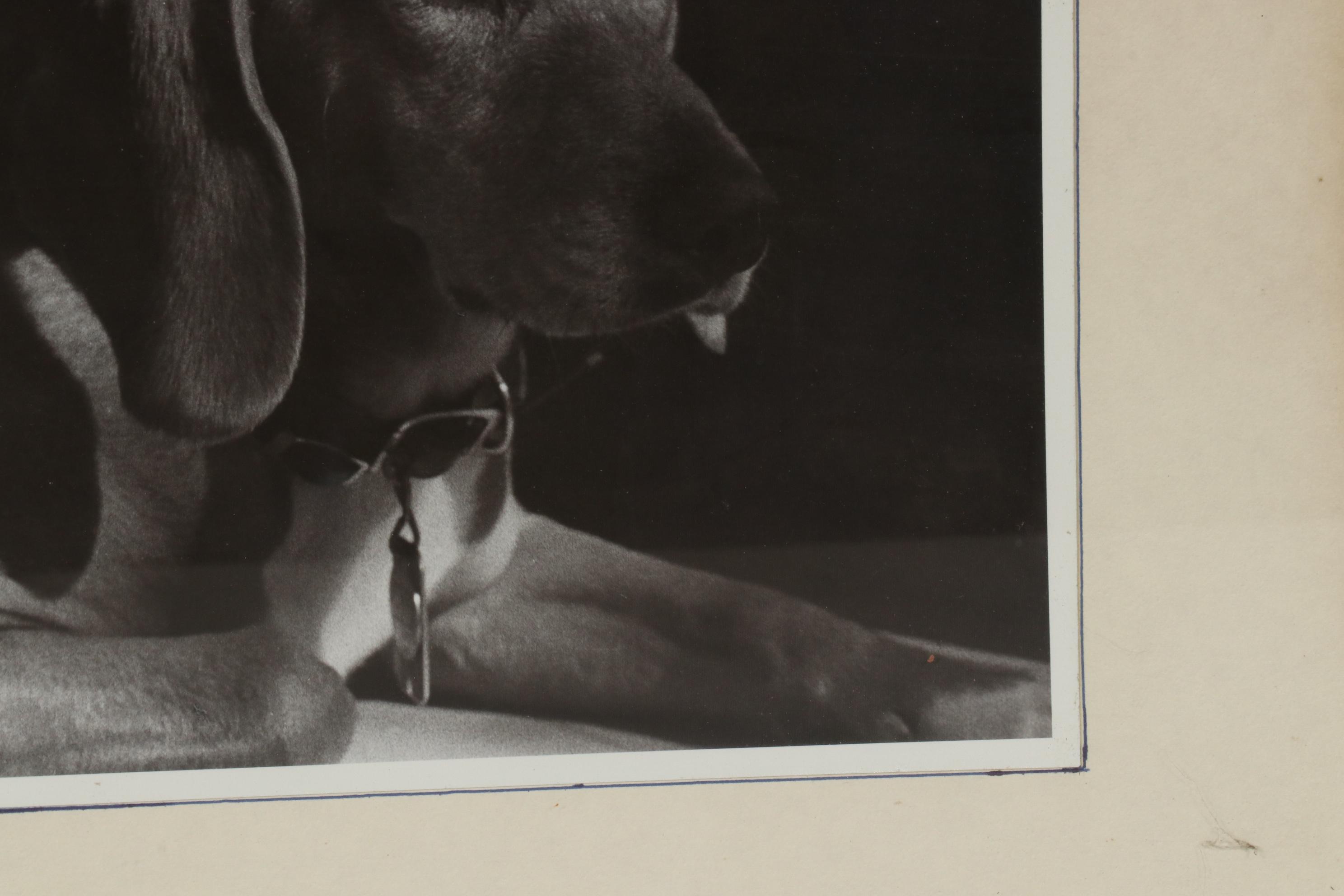Marquetry and Photograph of Canine Portraits, Late 20th Century