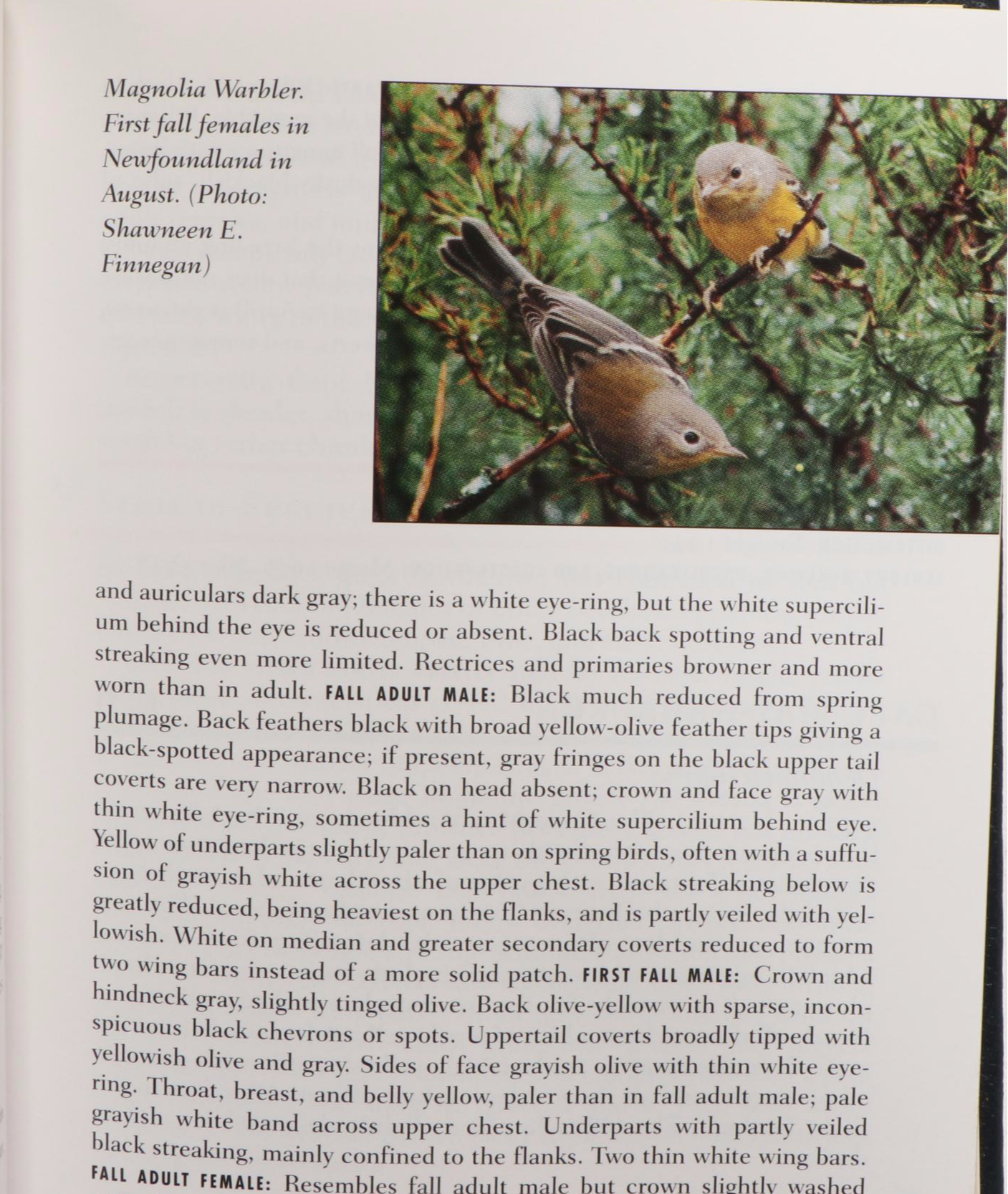 Easton Press Fiftieth Anniversary Edition "Roger Tory Peterson Field Guides"