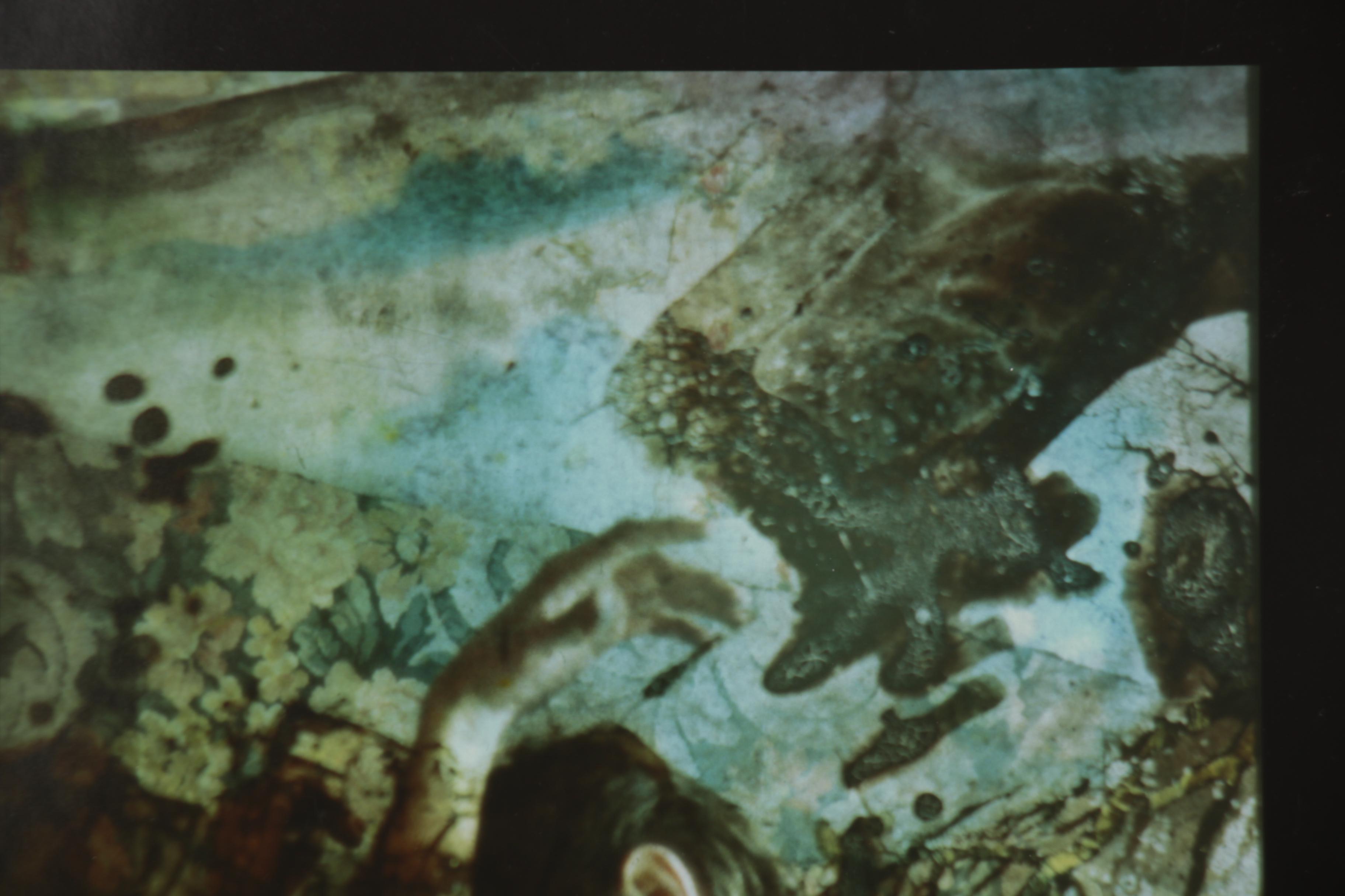 Barbara Hershey Figural Cliché Verre Photograph, 1983