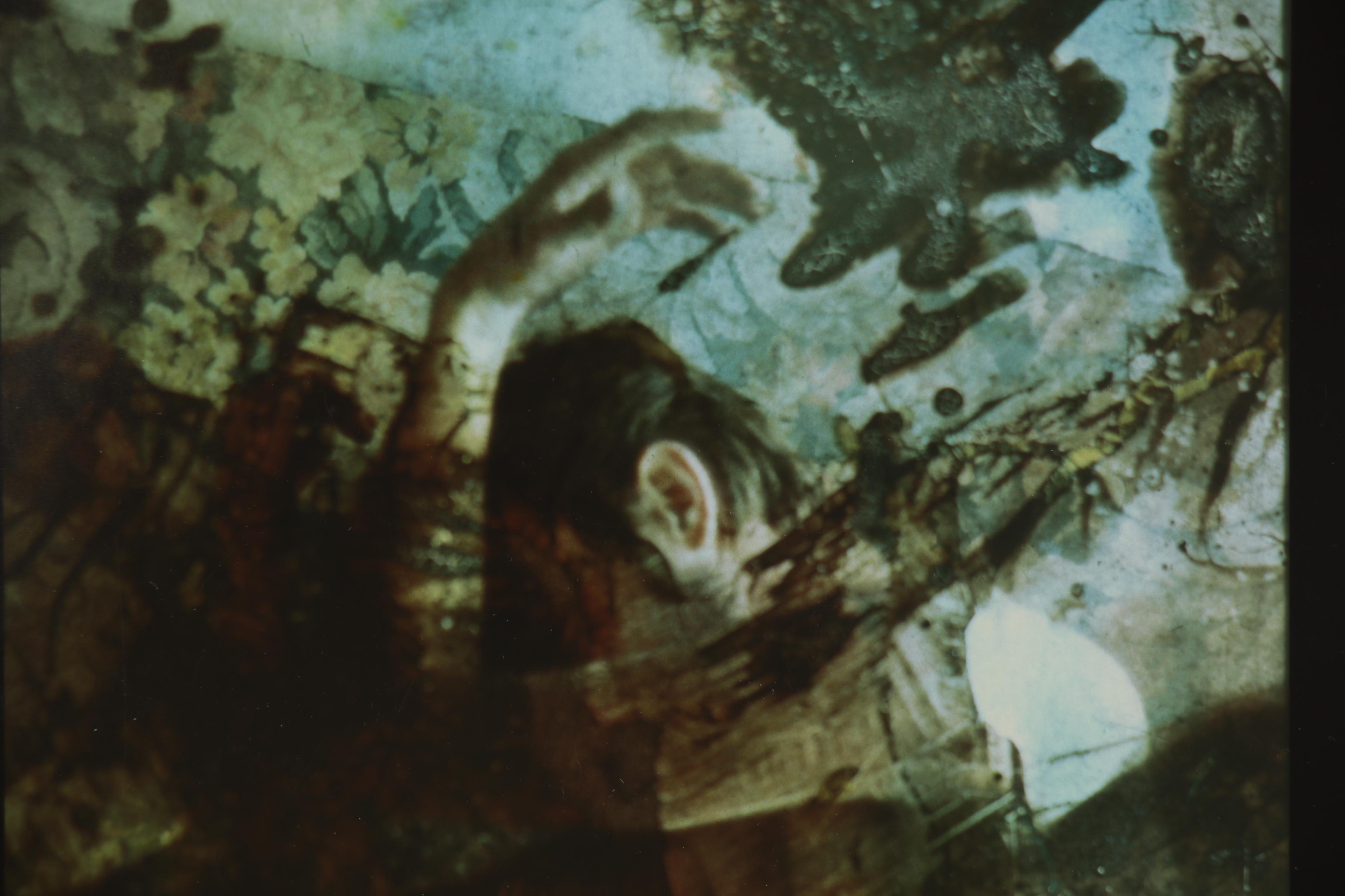 Barbara Hershey Figural Cliché Verre Photograph, 1983