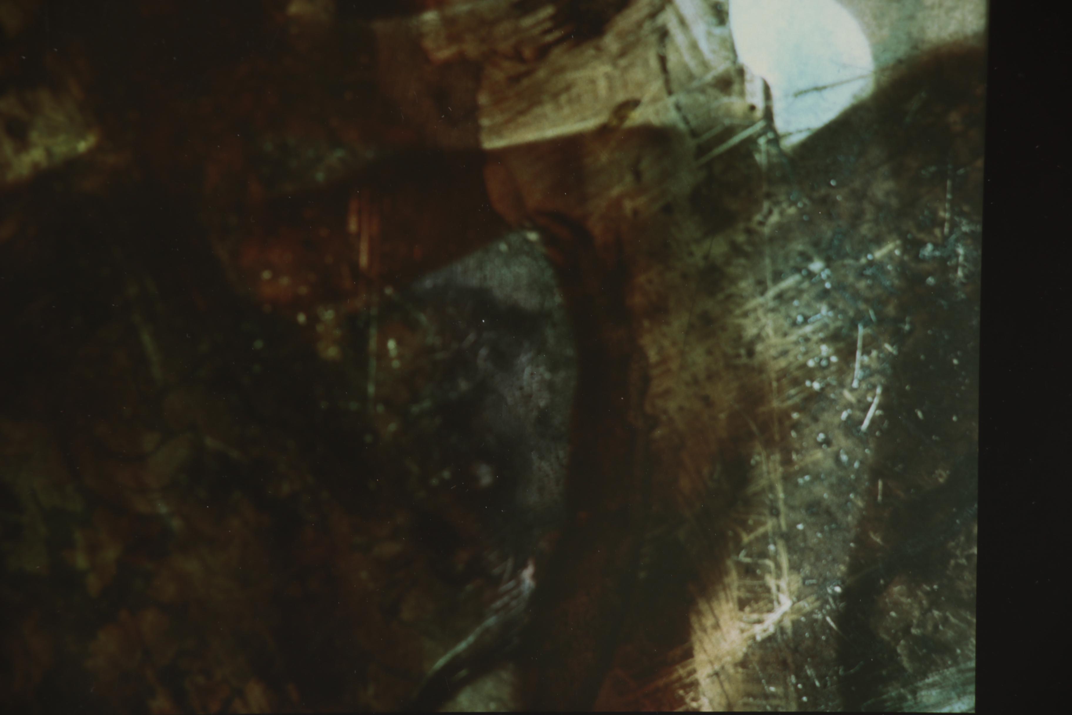 Barbara Hershey Figural Cliché Verre Photograph, 1983