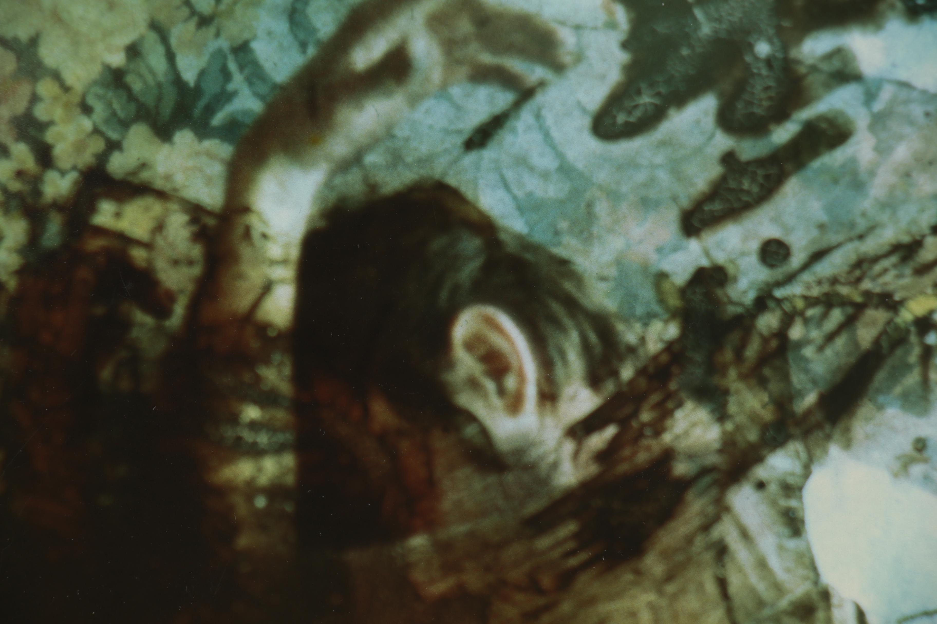 Barbara Hershey Figural Cliché Verre Photograph, 1983