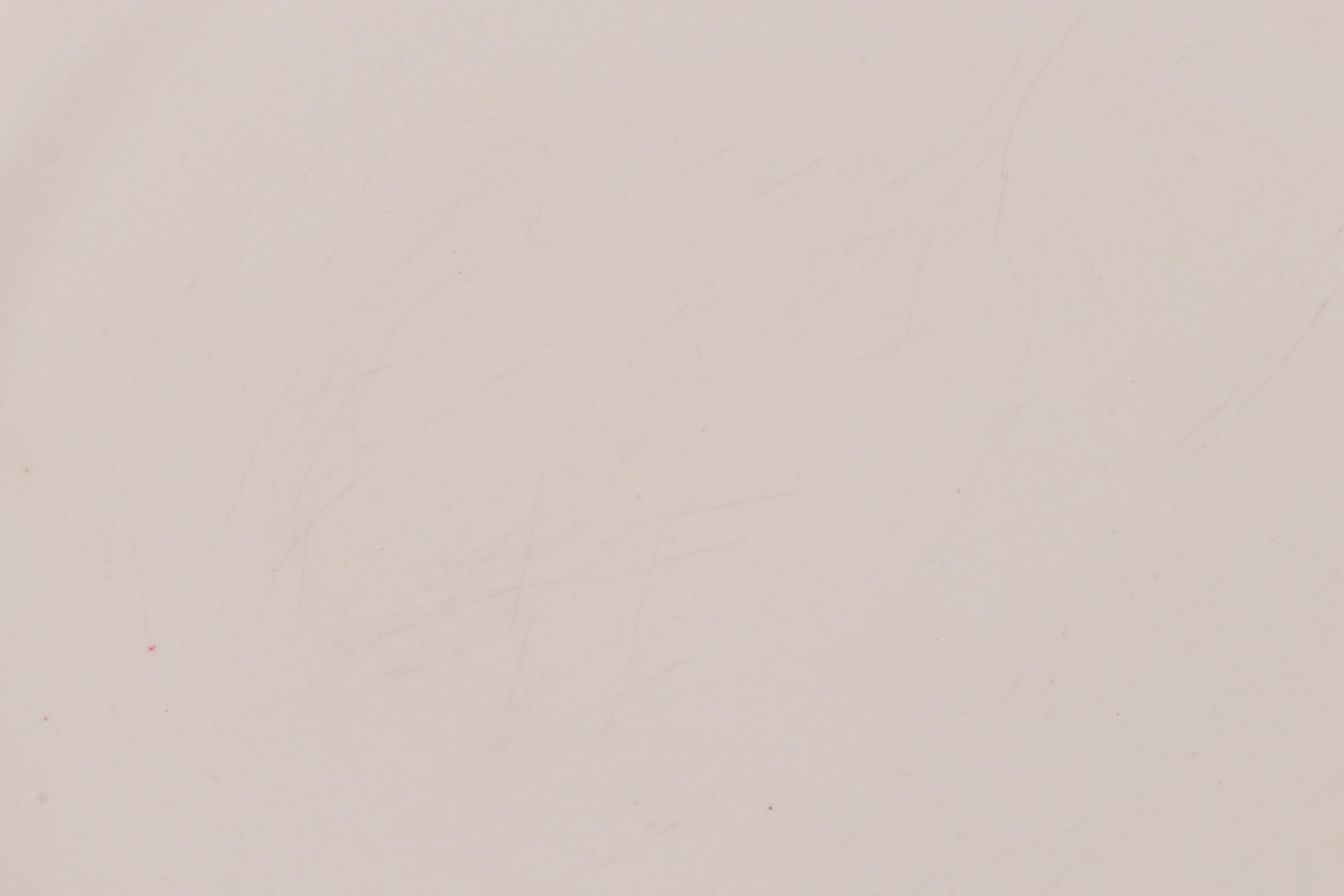 Rookwood Pottery "Wareham Collection" Plates, 2016