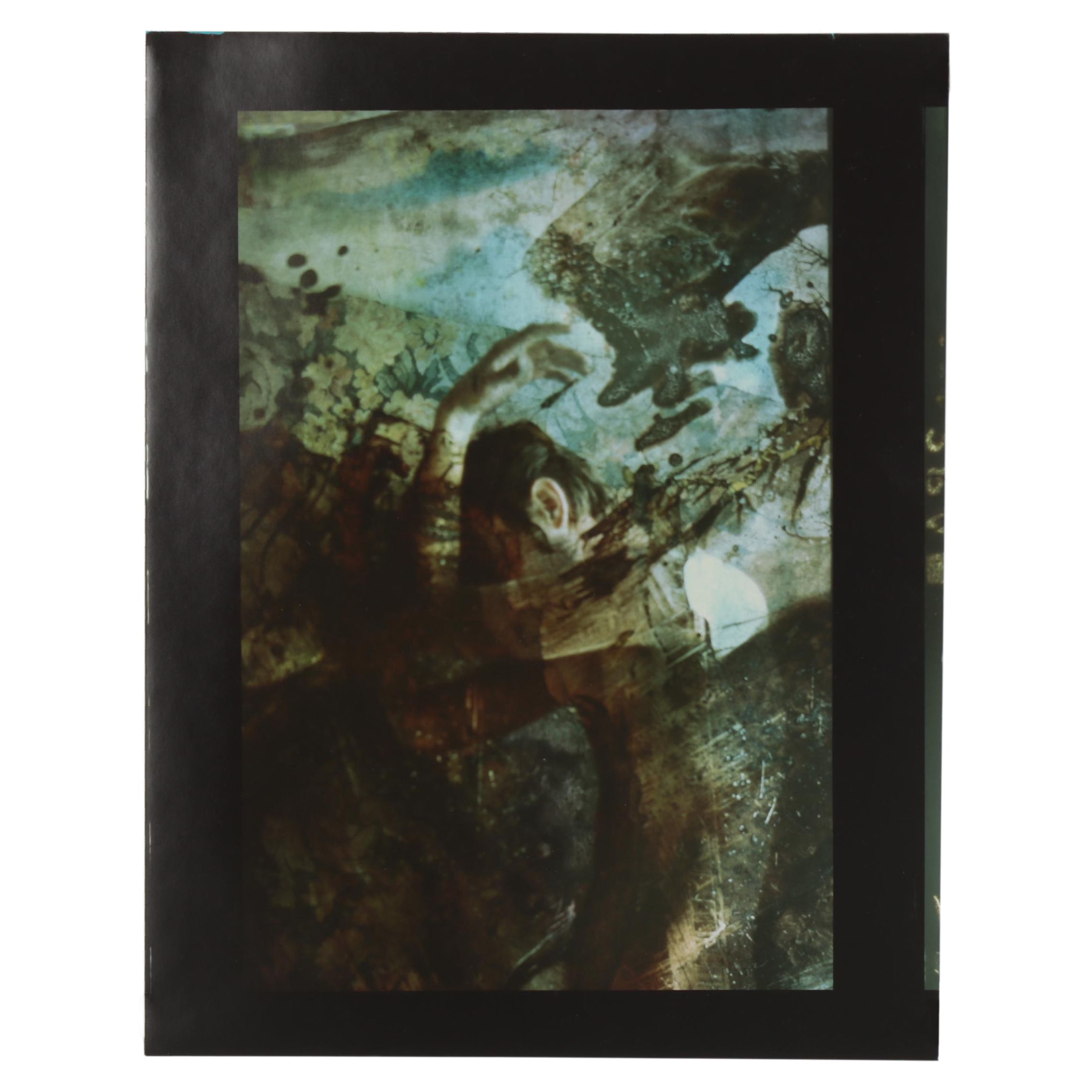 Barbara Hershey Figural Cliché Verre Photograph, 1983