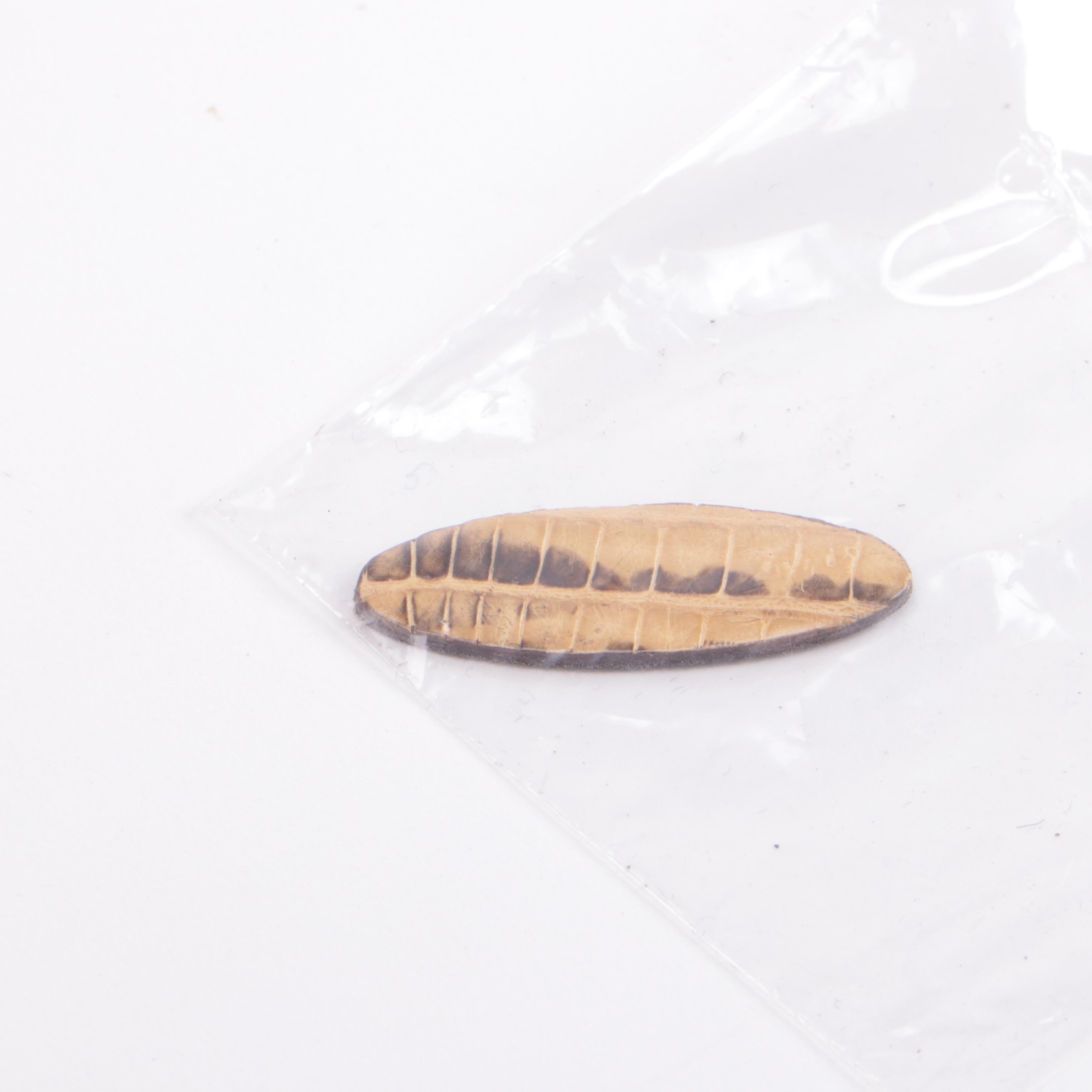 Prada Beige/Blush Daino Leather Shoulder Bag with Lizard Skin Embellishment